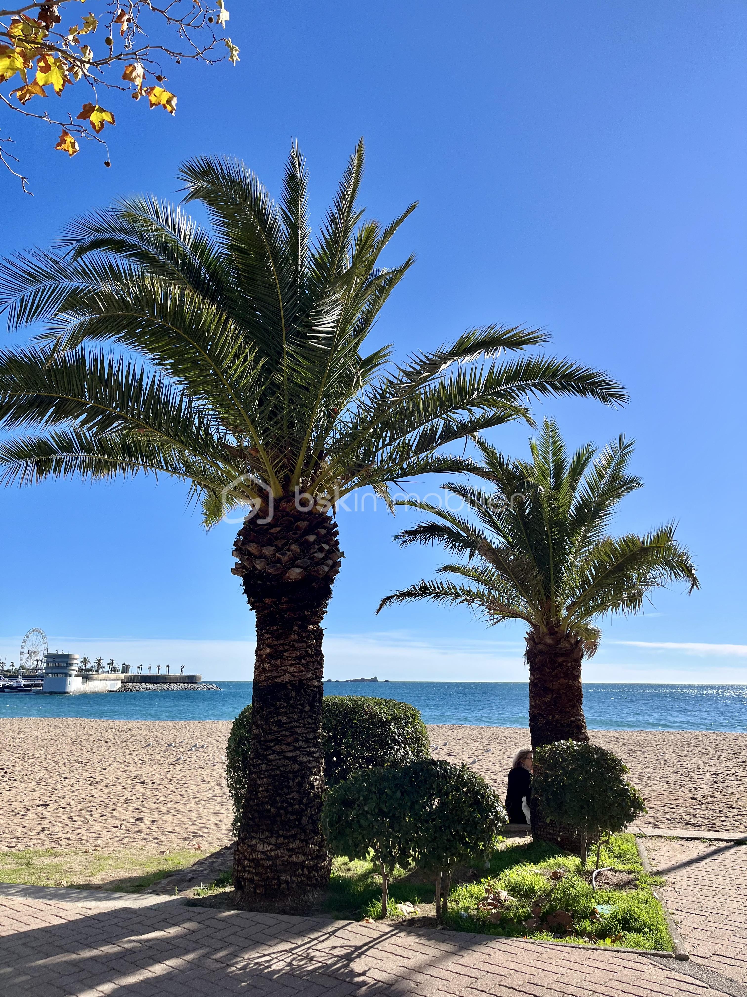 Appartement de 40,20 m² - IMG_1967.jpeg