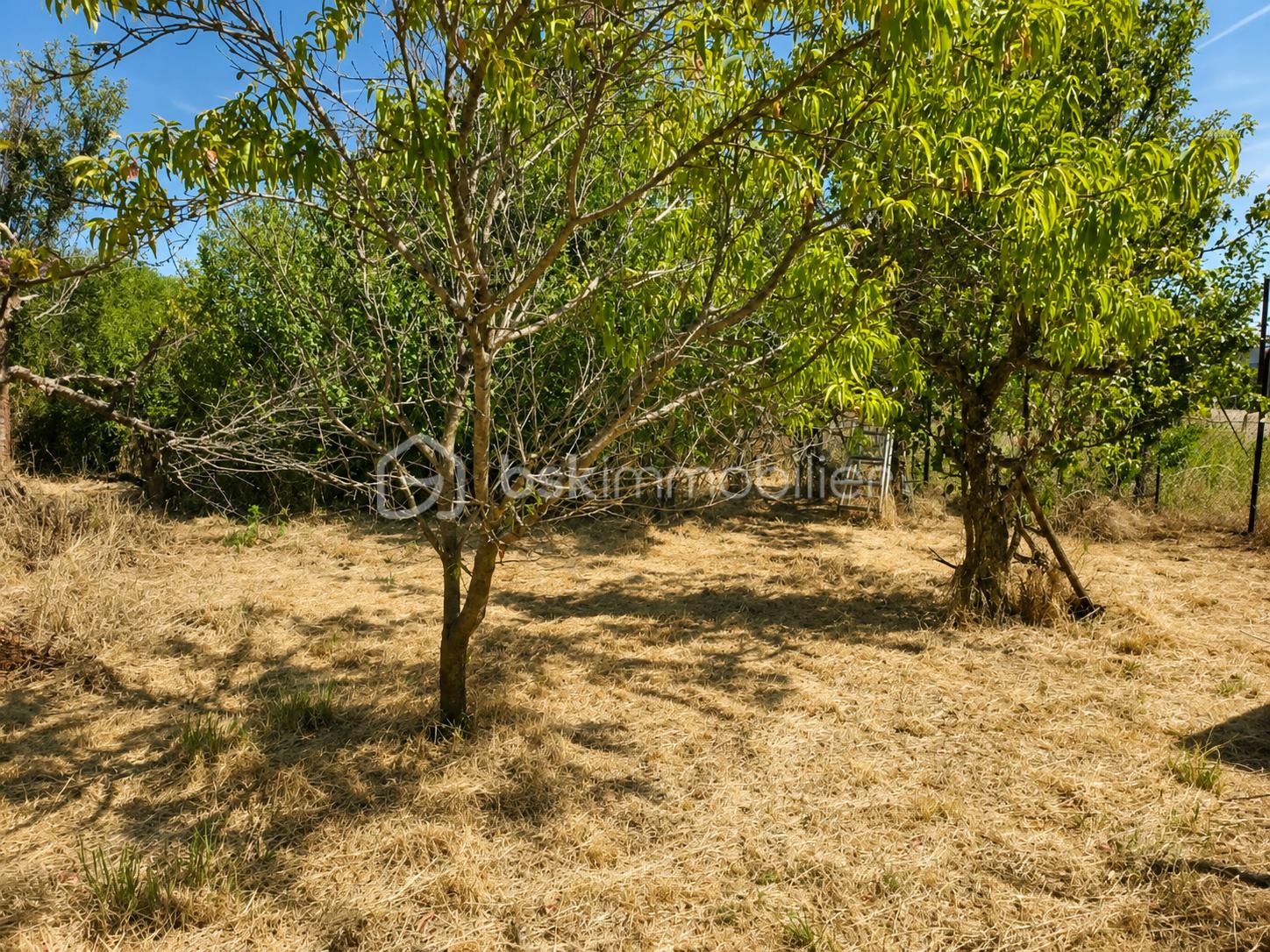 ChatGPT Image 10 juil. 2026, 09_52_58.png