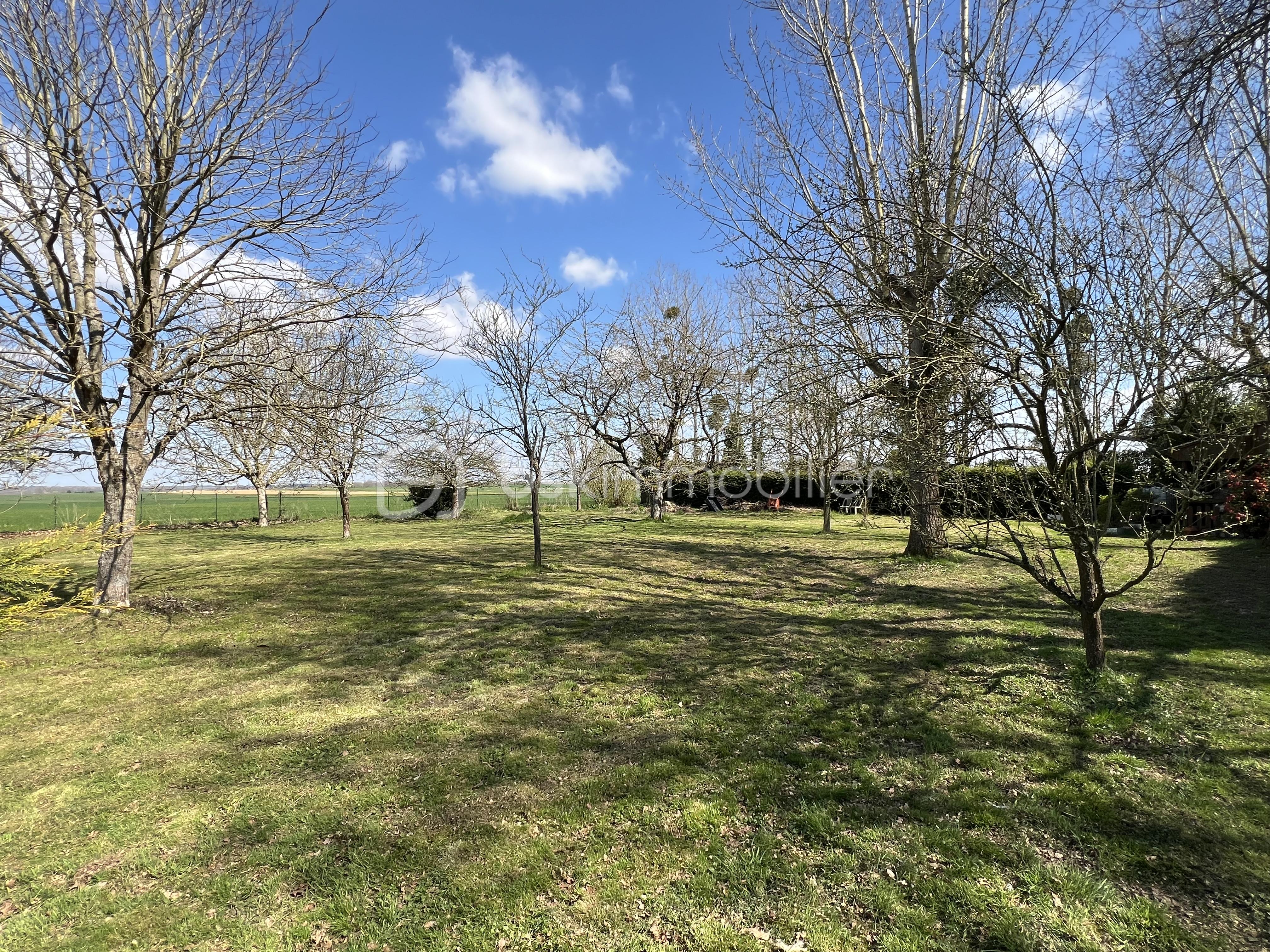 Maison de 170 m² - IMG_1908.jpg