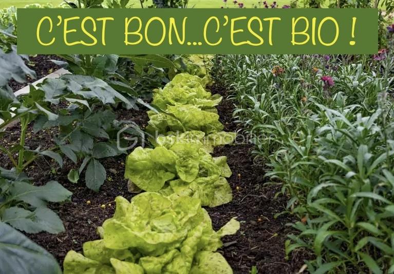 Terrain de 1 000 m² - boulin jardin bio.jpg