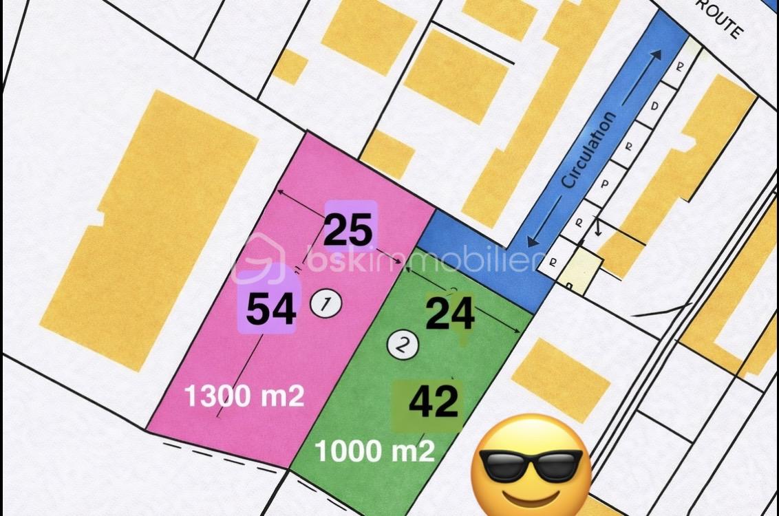 Terrain de 1 000 m² - boulin plan avec terrains parcelles et smiley.jpg