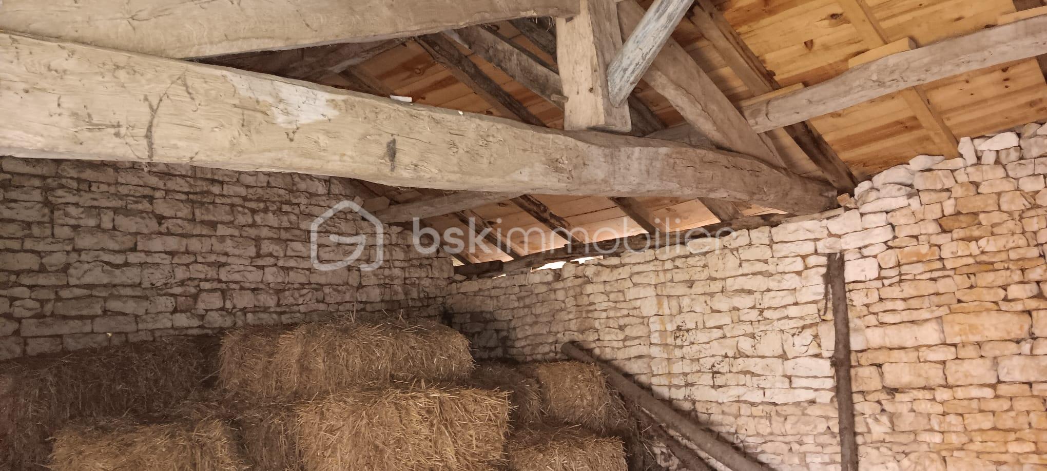 WhatsApp Image 2026-02-21 at 13.58.33 (2).jpeg