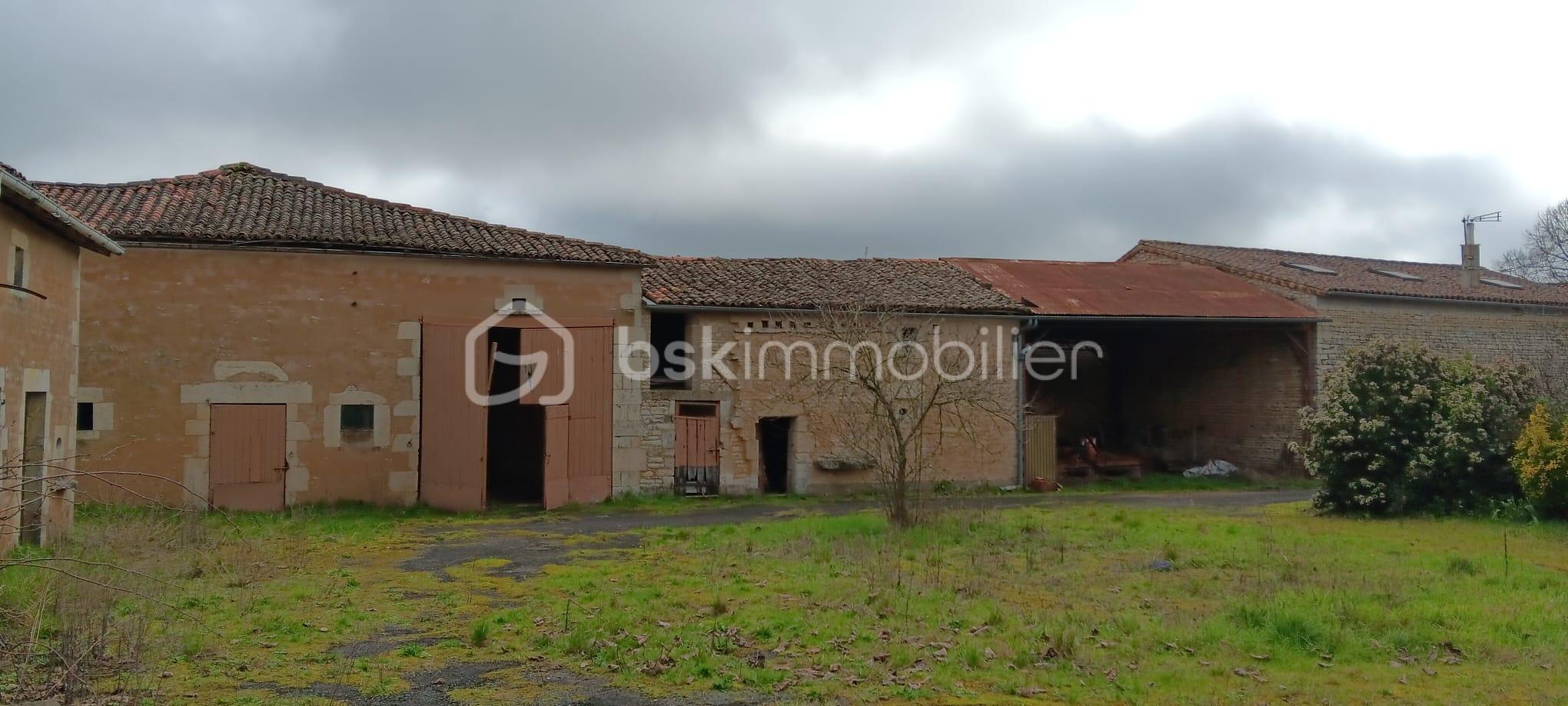 WhatsApp Image 2026-02-21 at 12.21.40 (1).jpeg