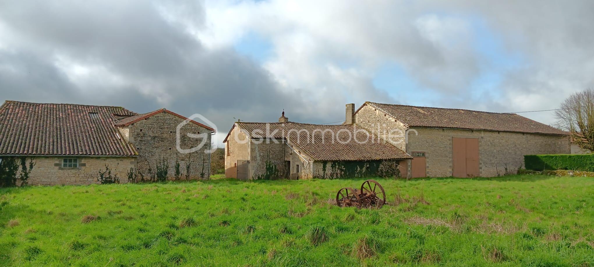 WhatsApp Image 2026-02-21 at 12.21.40.jpeg