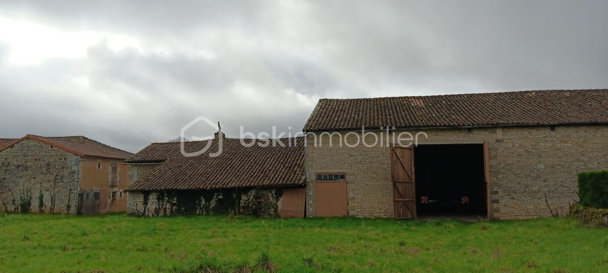 WhatsApp Image 2026-02-21 at 13.58.35 (8).jpeg