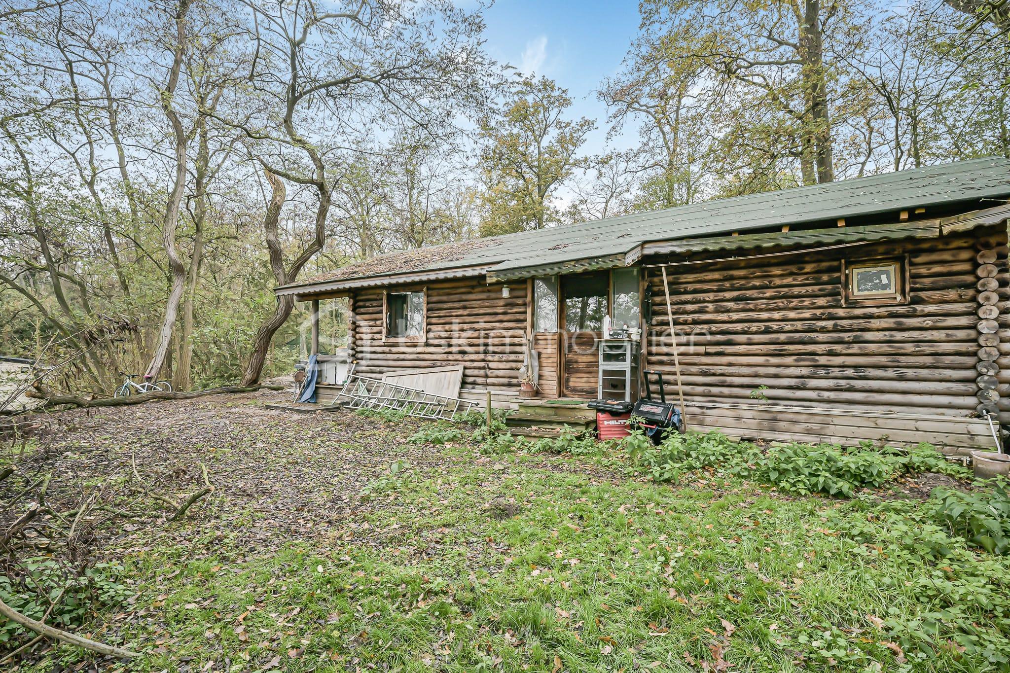 WhatsApp Image 2026-02-24 at 21.17.22 (3).jpeg