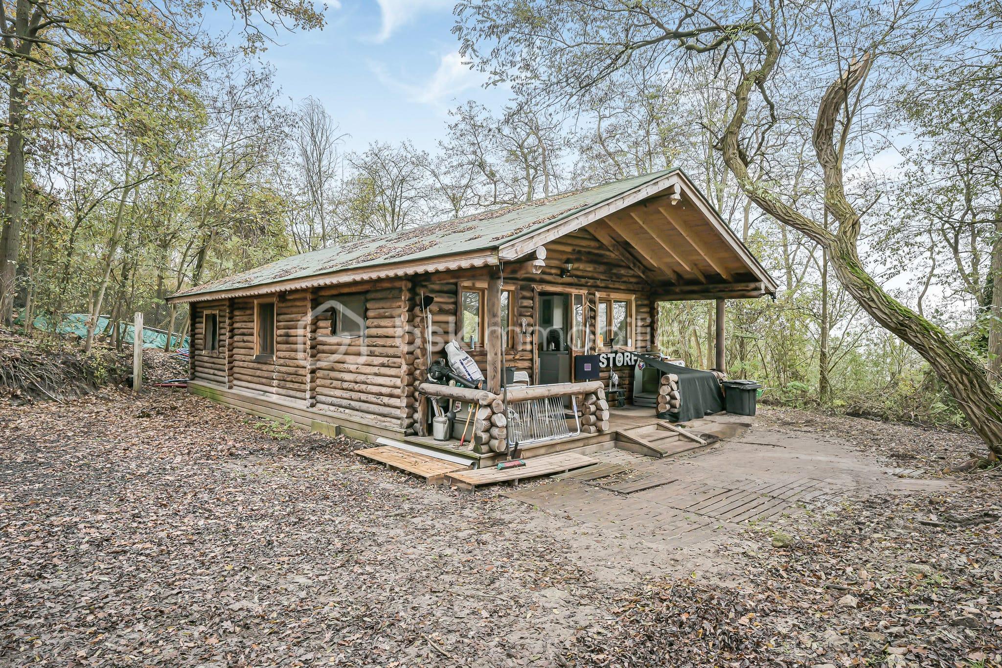 WhatsApp Image 2026-02-24 at 21.17.20 (3).jpeg