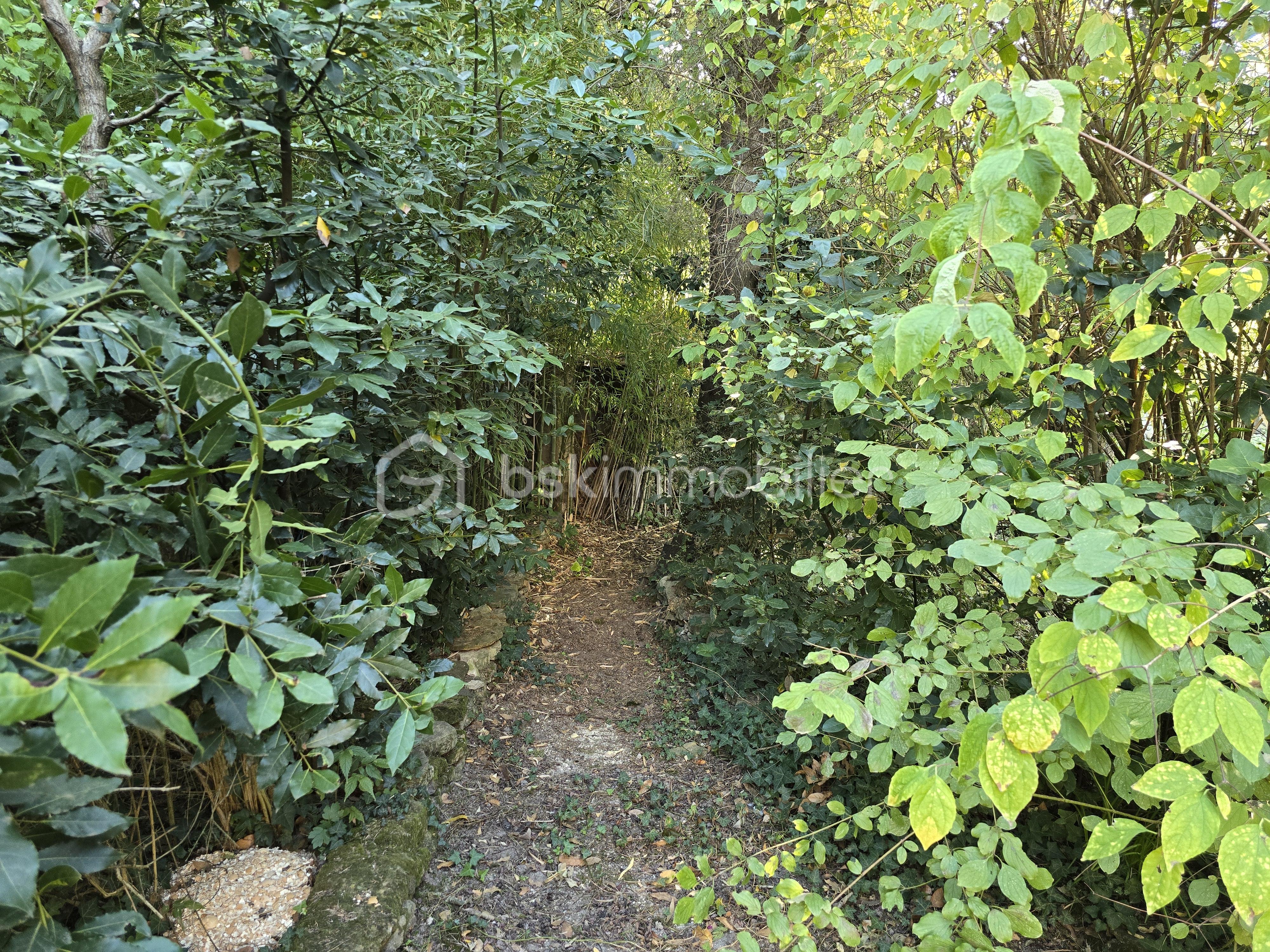 Maison de 174 m² - 20251016_145336.jpg