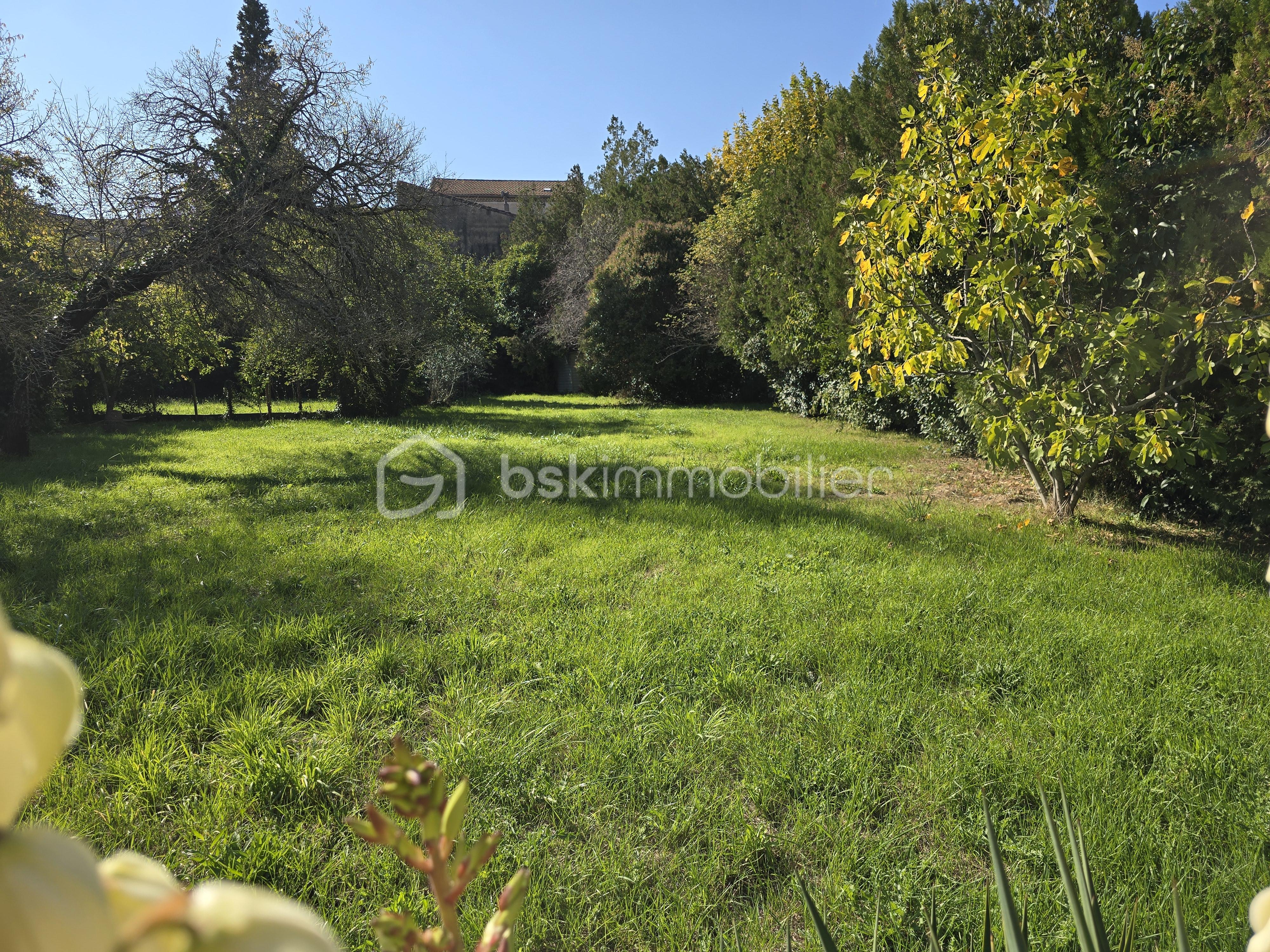 Maison de 174 m² - 20251016_145030.jpg