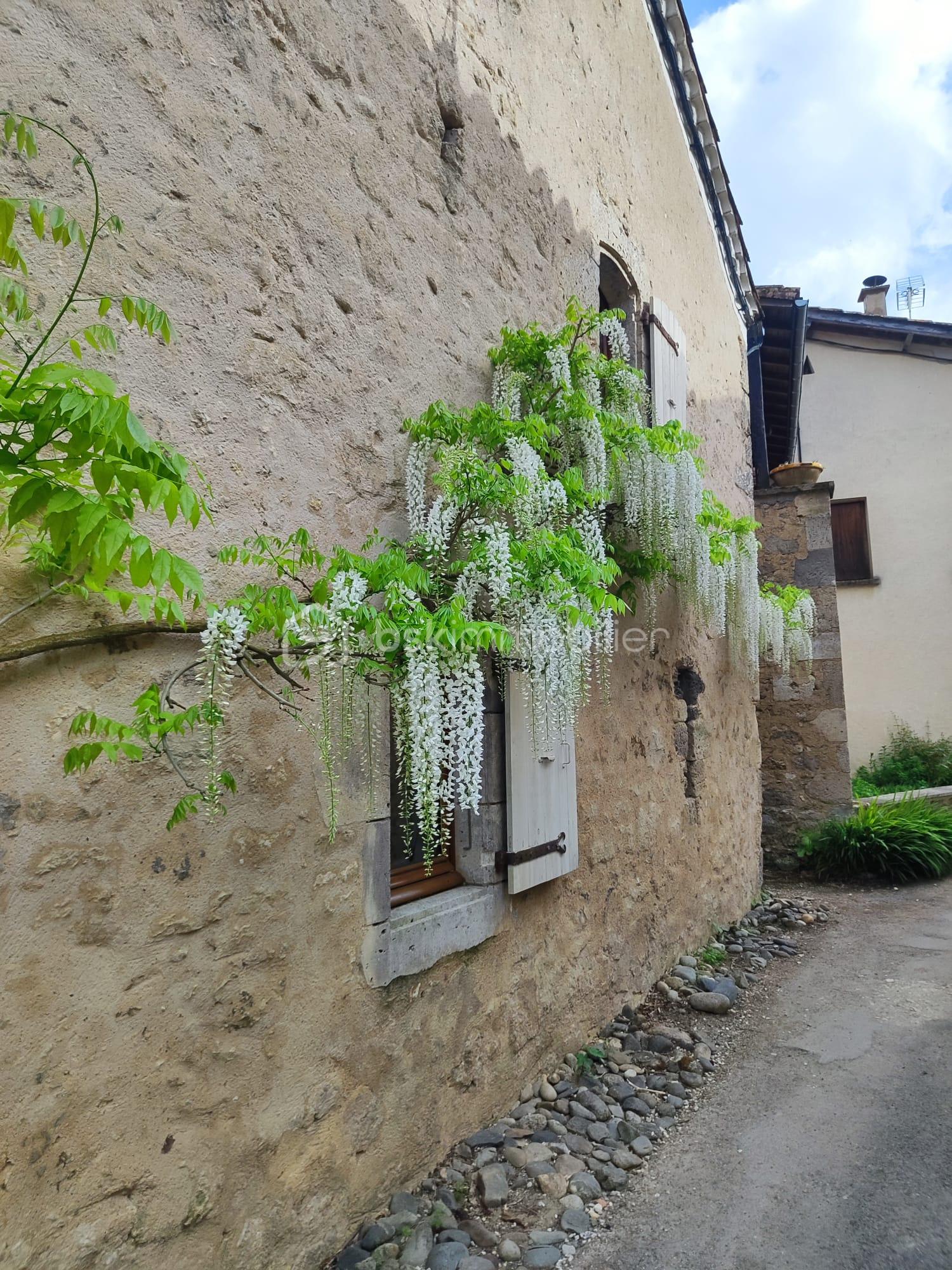 WhatsApp Image 2026-02-19 at 14.00.38.jpeg