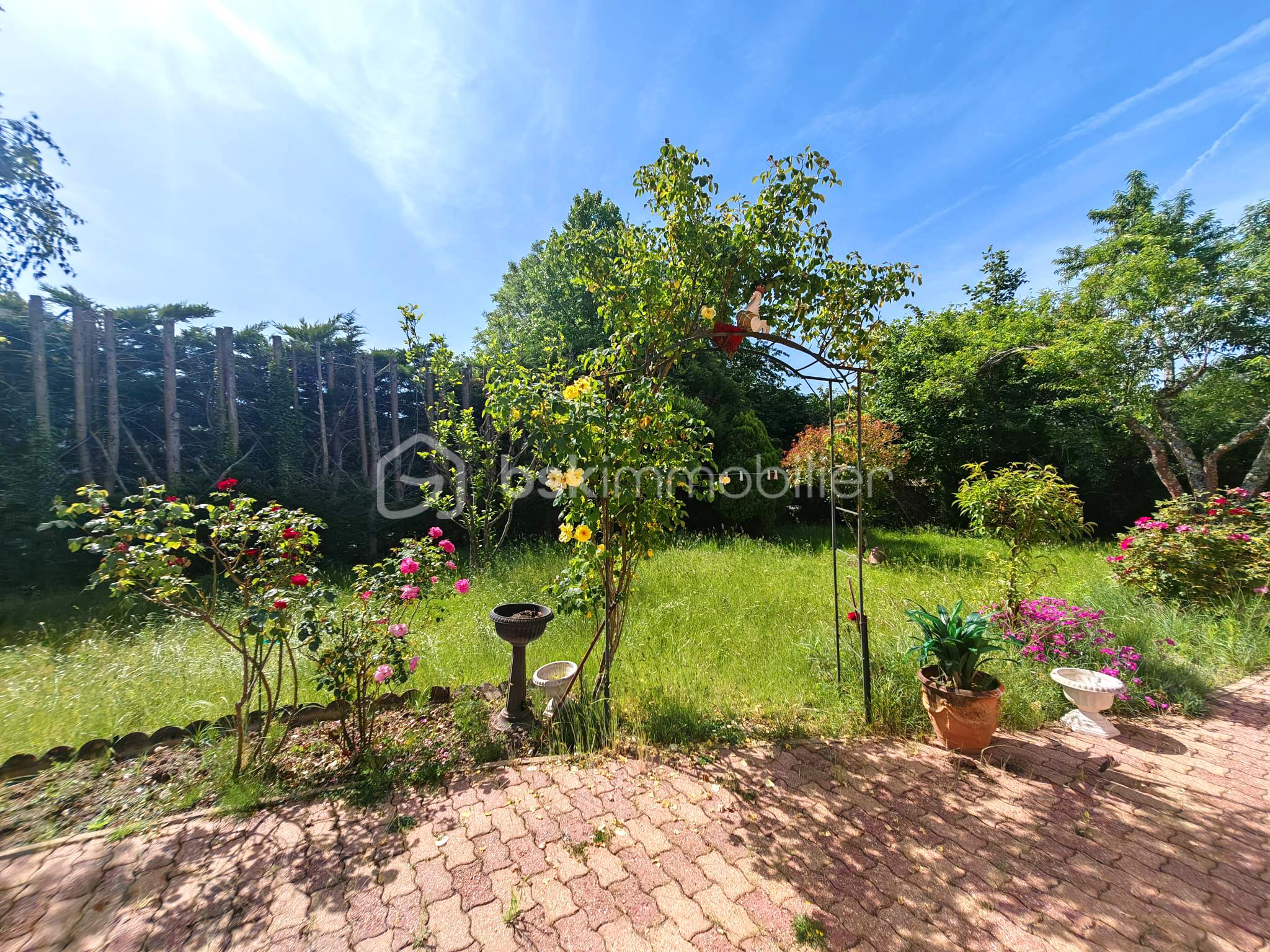 Jardin-1.jpg