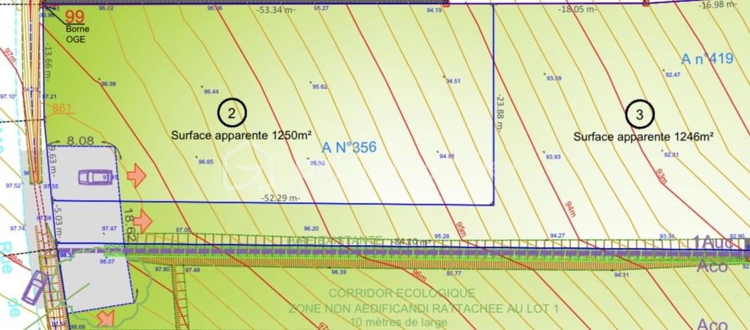 Terrain de 1 250 m² - Plan du projet.jpg