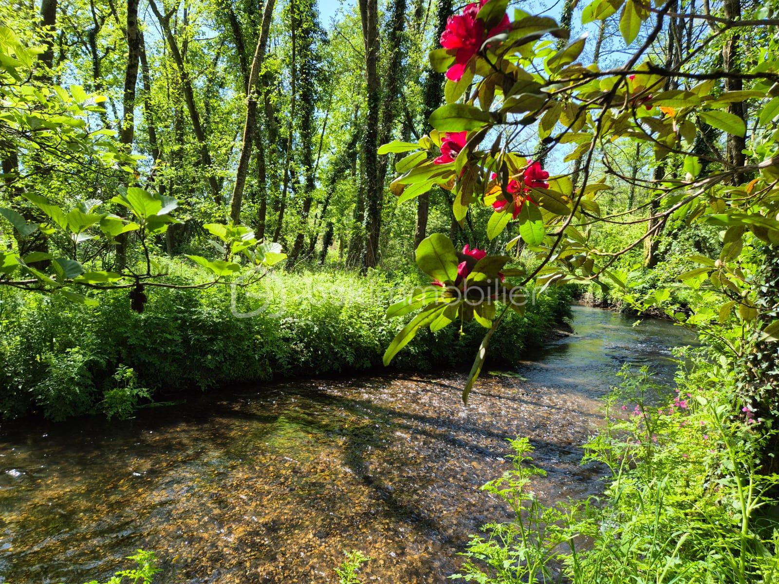 WhatsApp Image 2026-04-21 at 14.02.31.jpeg