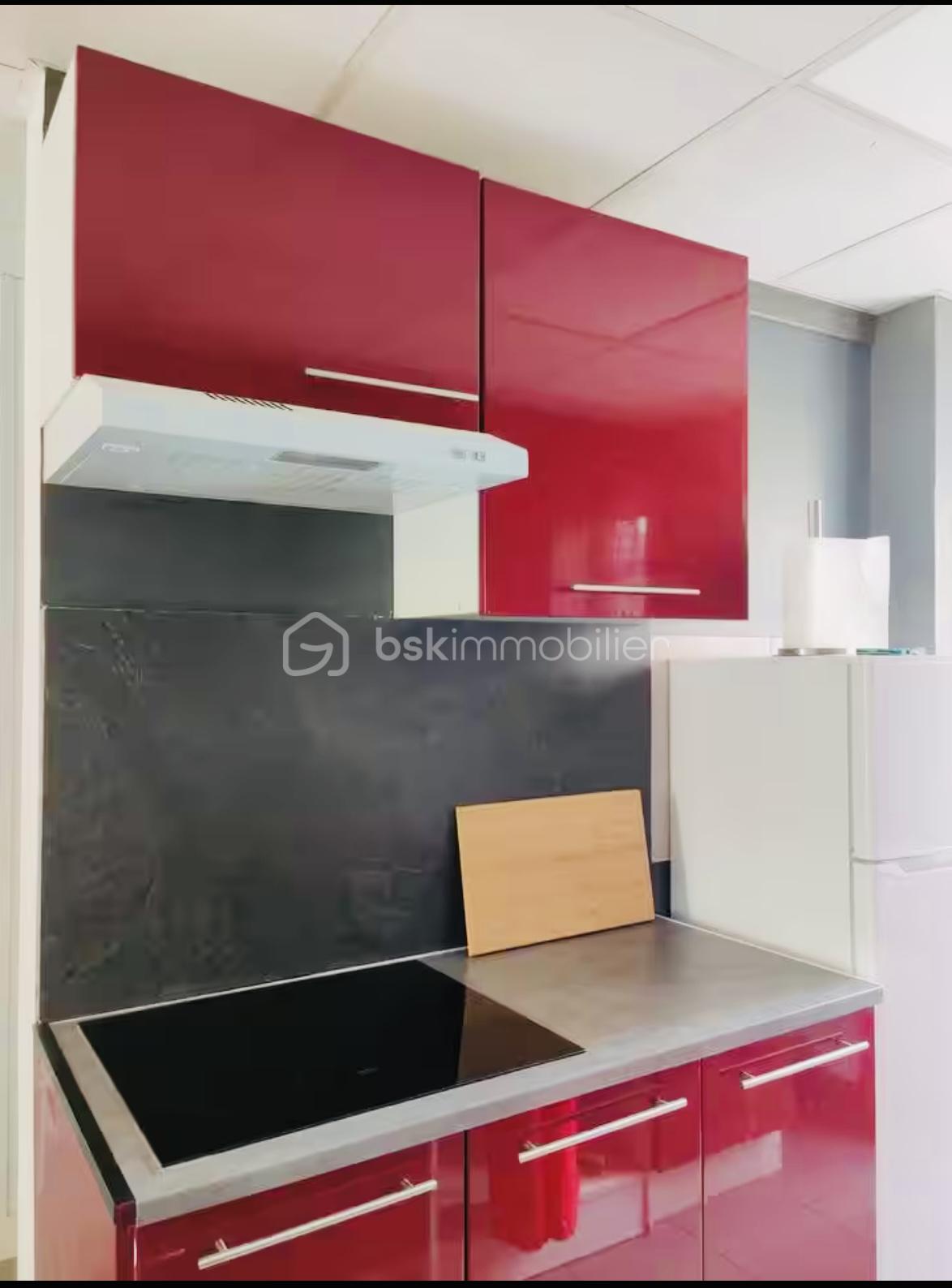 Appartement de 51 m² - IMG_3848.jpg
