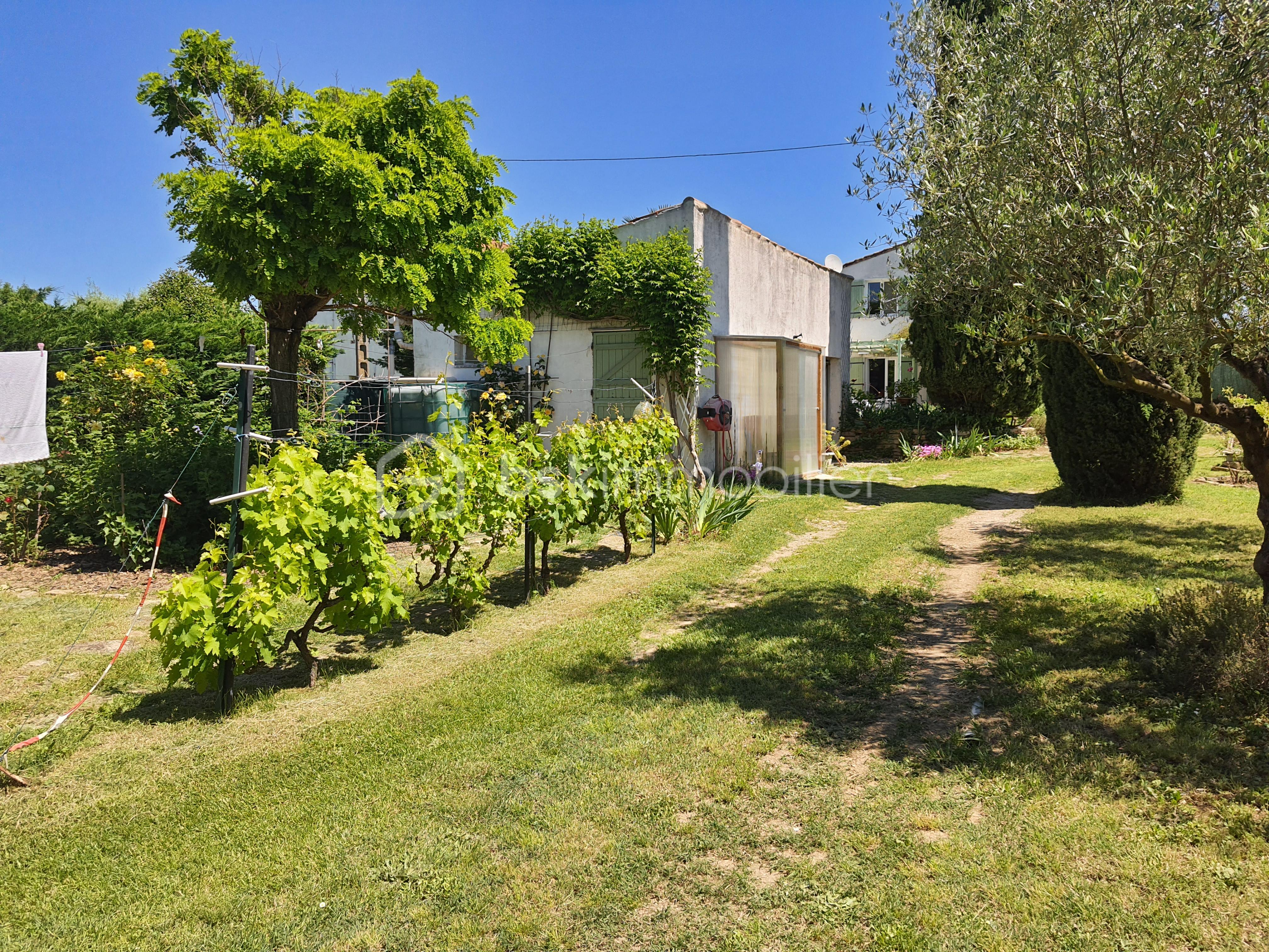 Maison de 136 m² - jardin vers maison 1 -.jpg