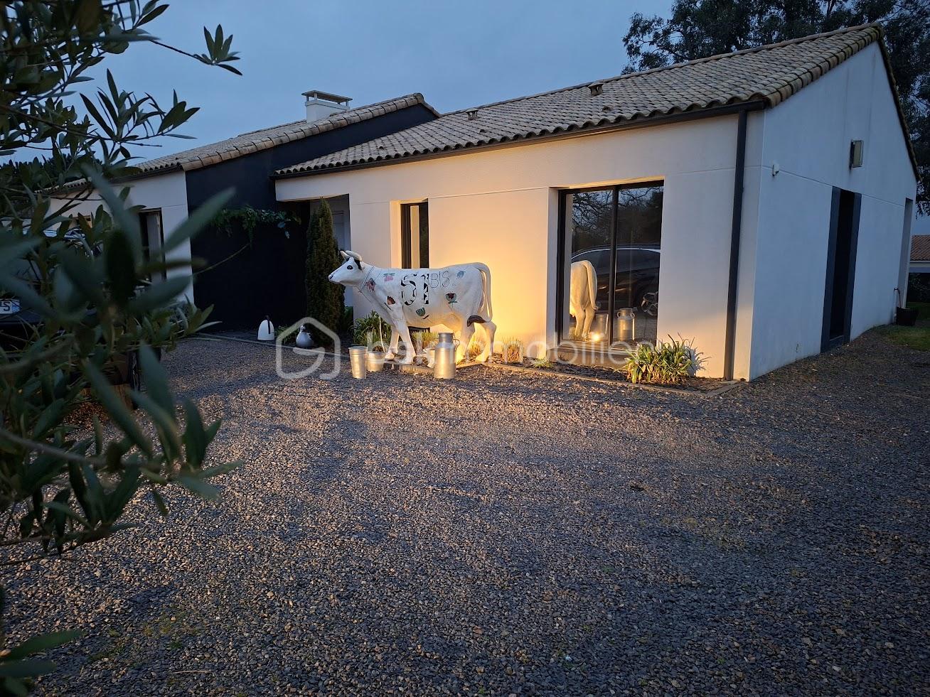 VACCHE ILLUMINEE.jpg