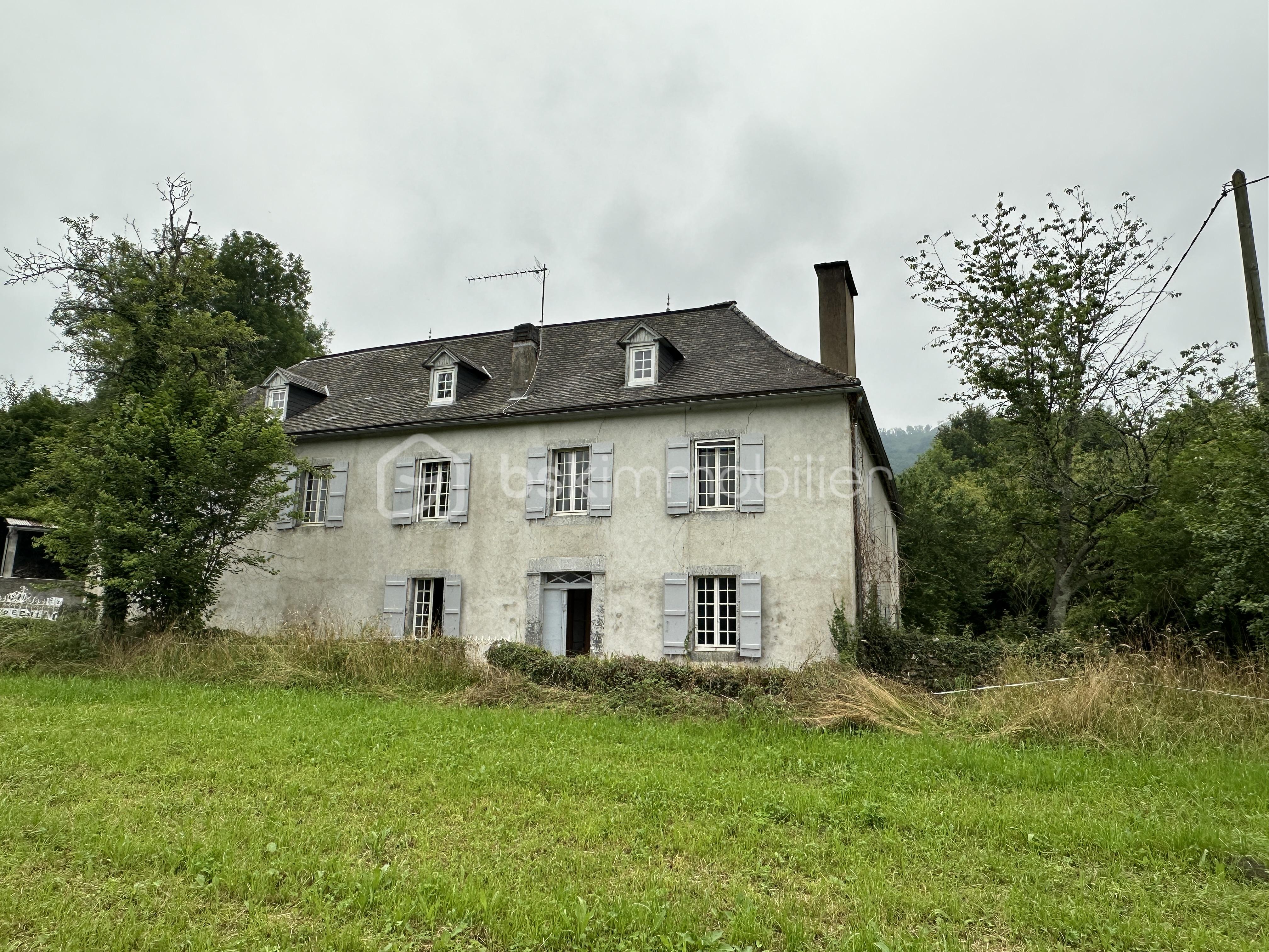 Maison de maitre de 230 m² - 20240627_095745373_iOS.jpg