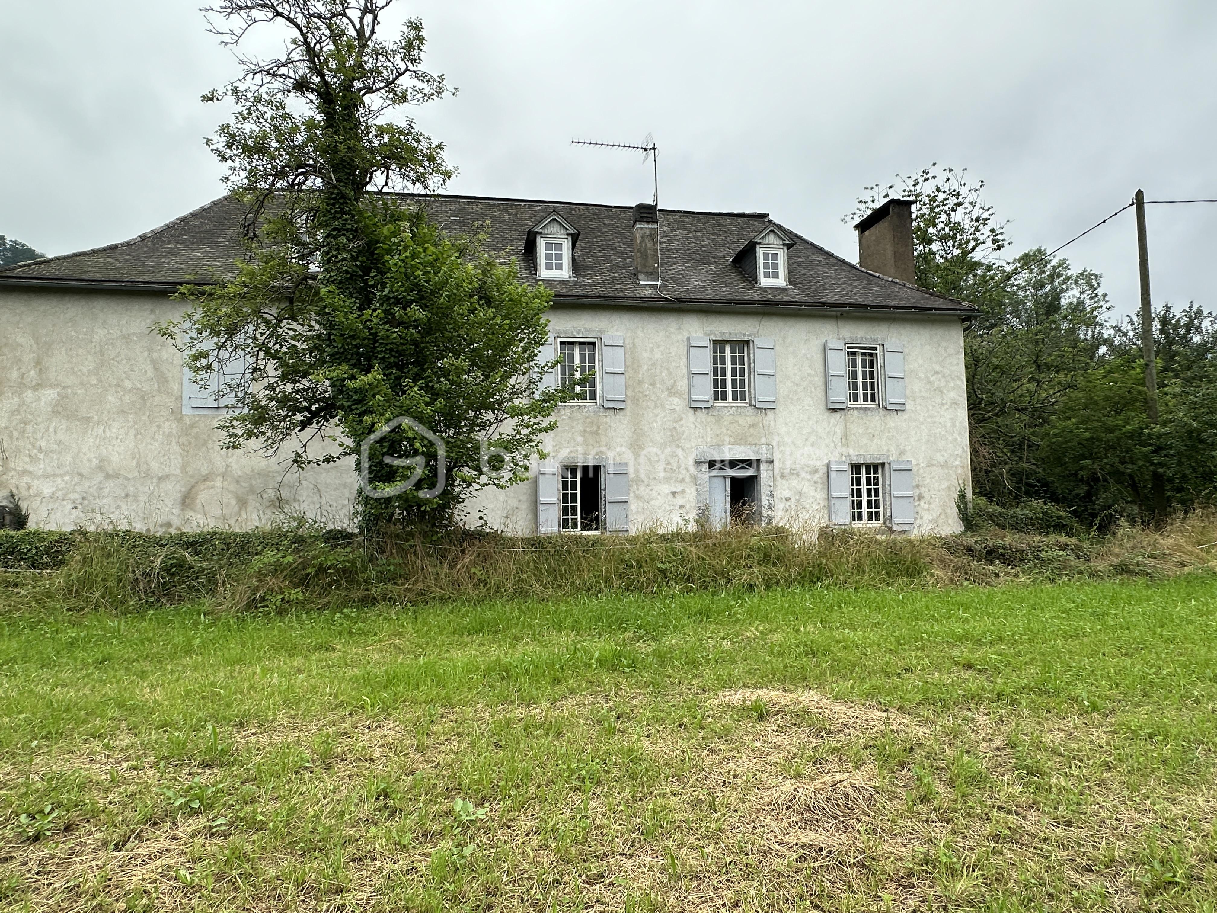 Maison de maitre de 230 m² - 20240627_095827517_iOS.jpg