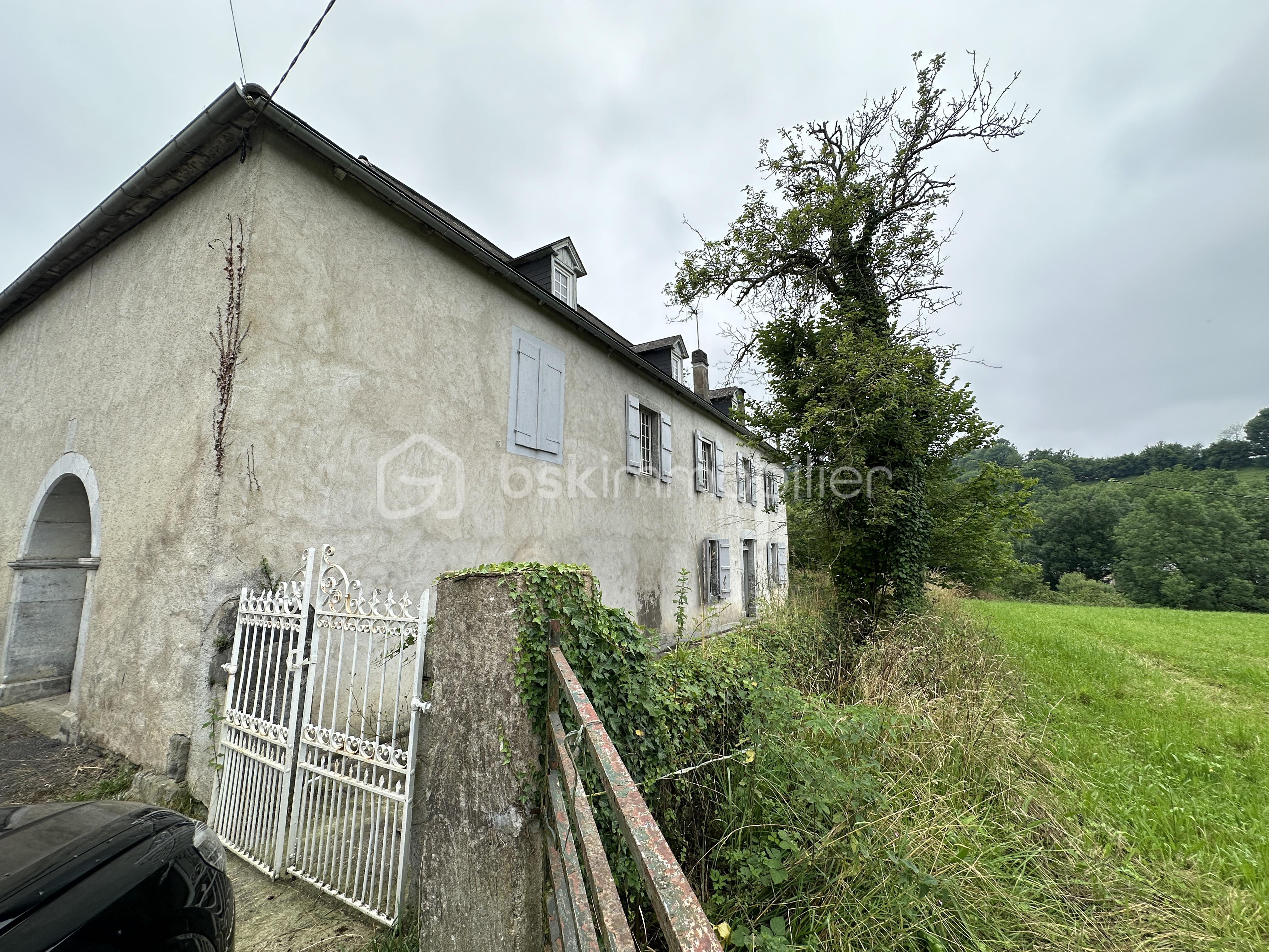 Maison de maitre de 230 m² - 20240627_095652206_iOS.jpg