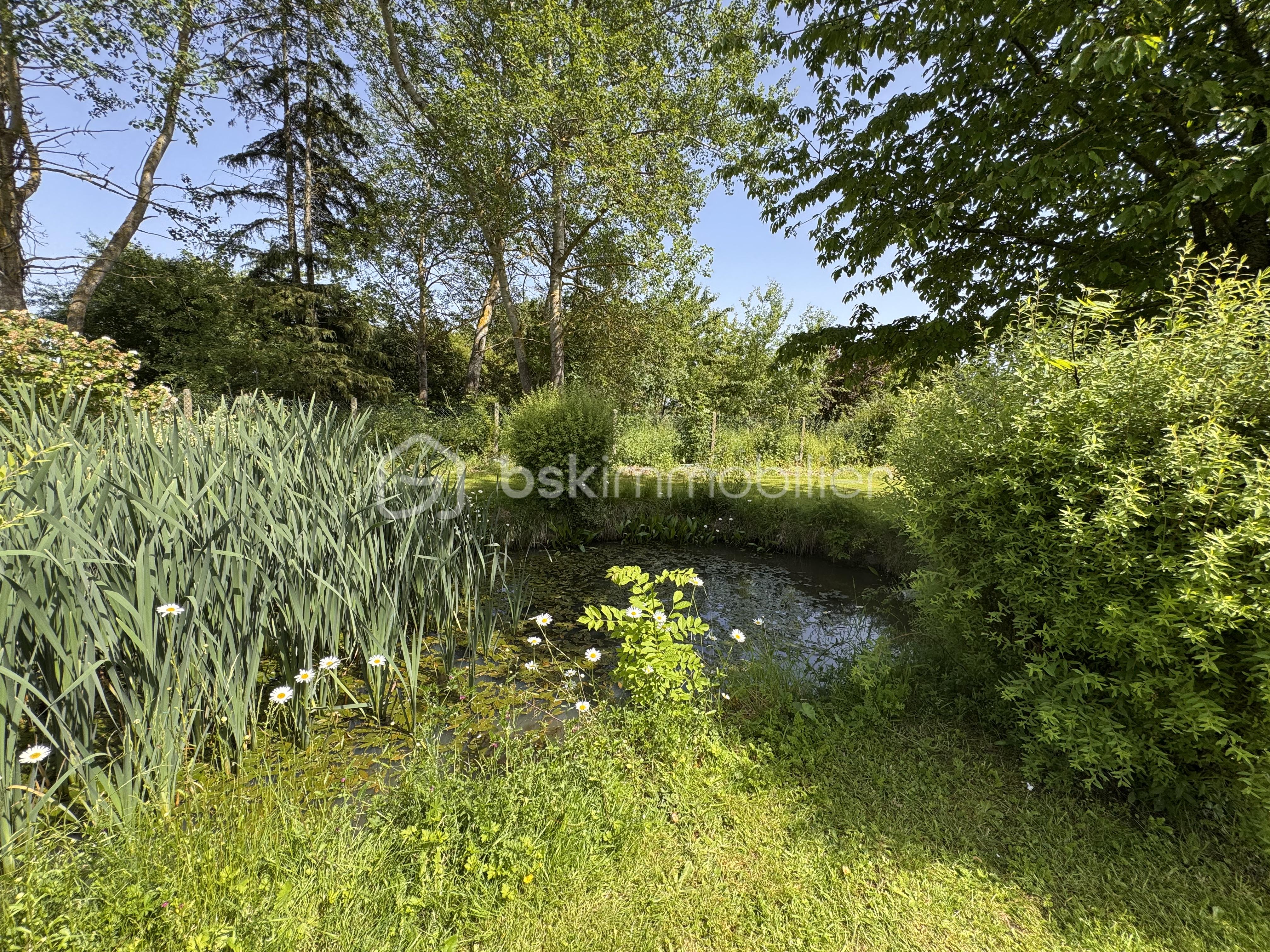 IMG_9462 2.jpeg
