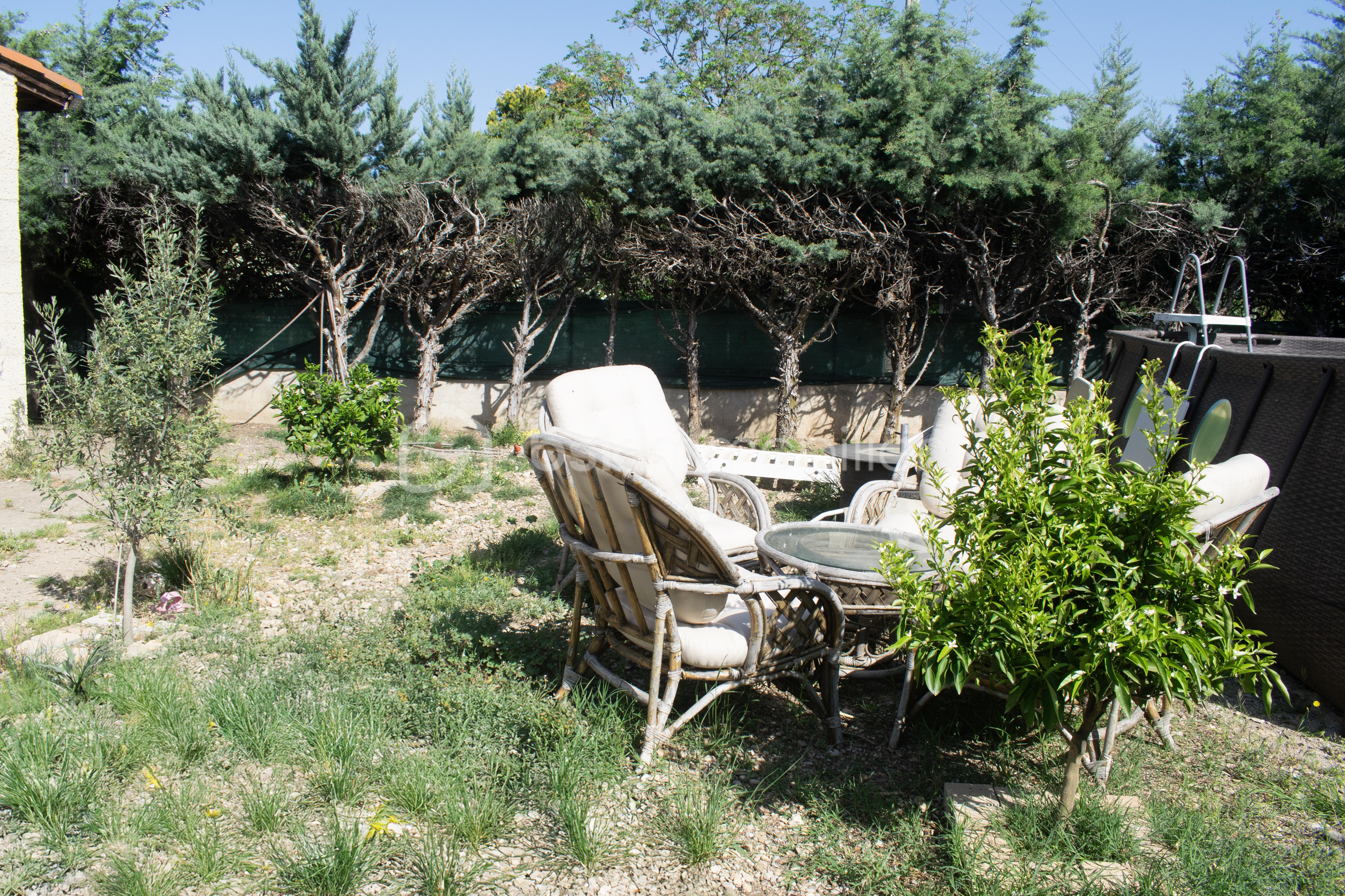 DSC_0046 copie.jpg
