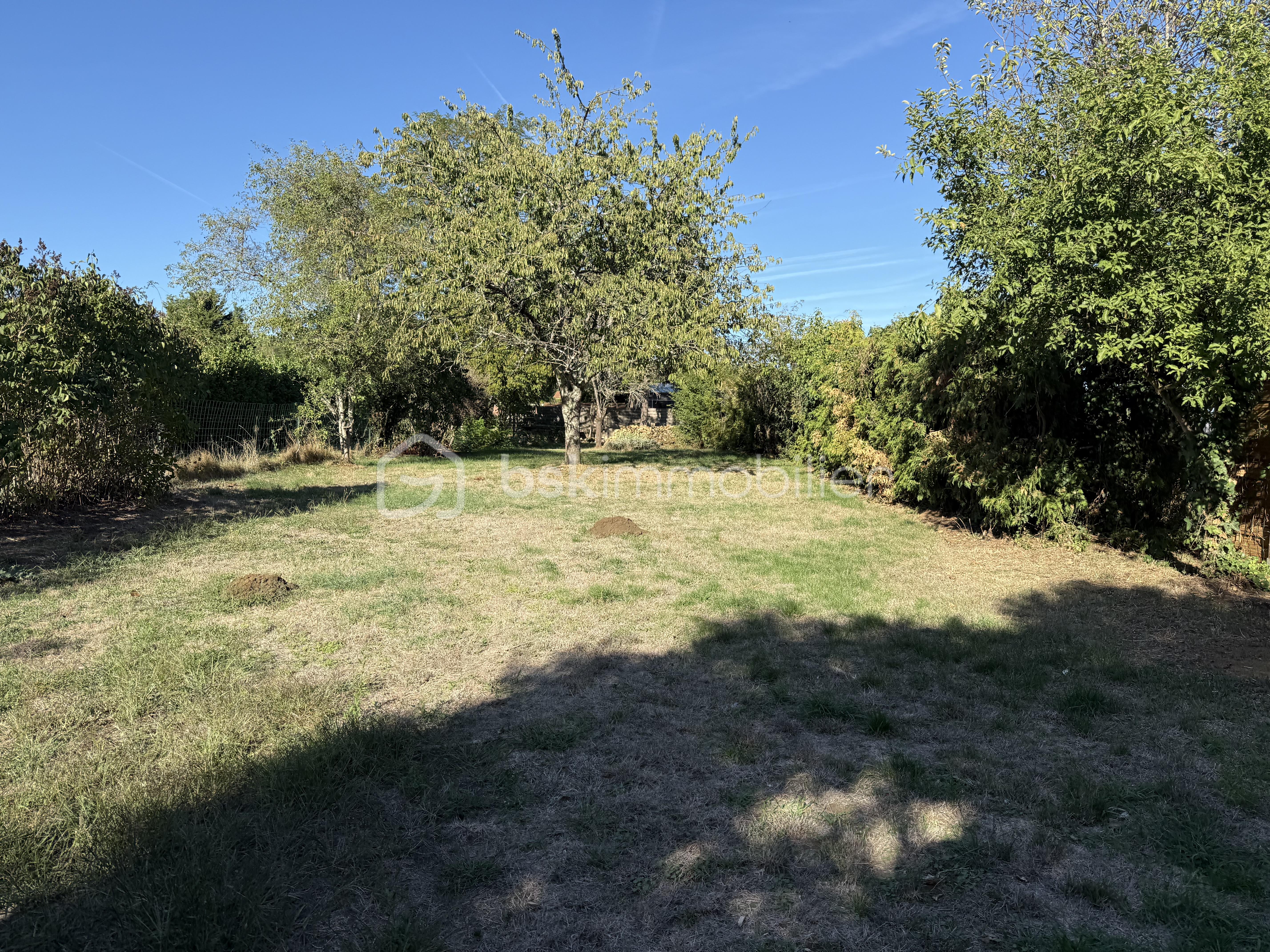 IMG_2838.jpeg