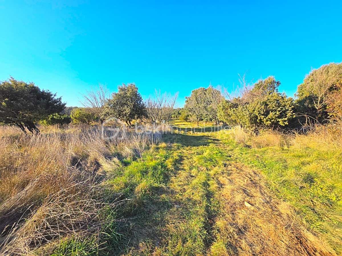 Maison de 126 m² - w5Lpm2IS61XQ5Fm7OsTT5QiM306l1SidAbyOE8hs.jpg