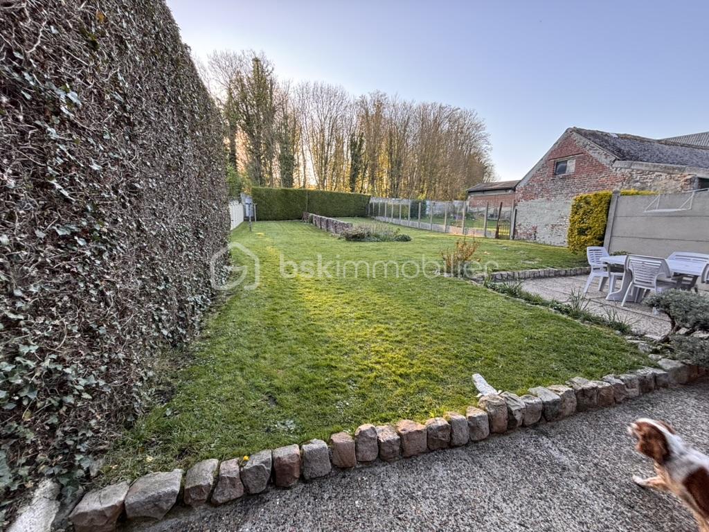 jardin.jpeg