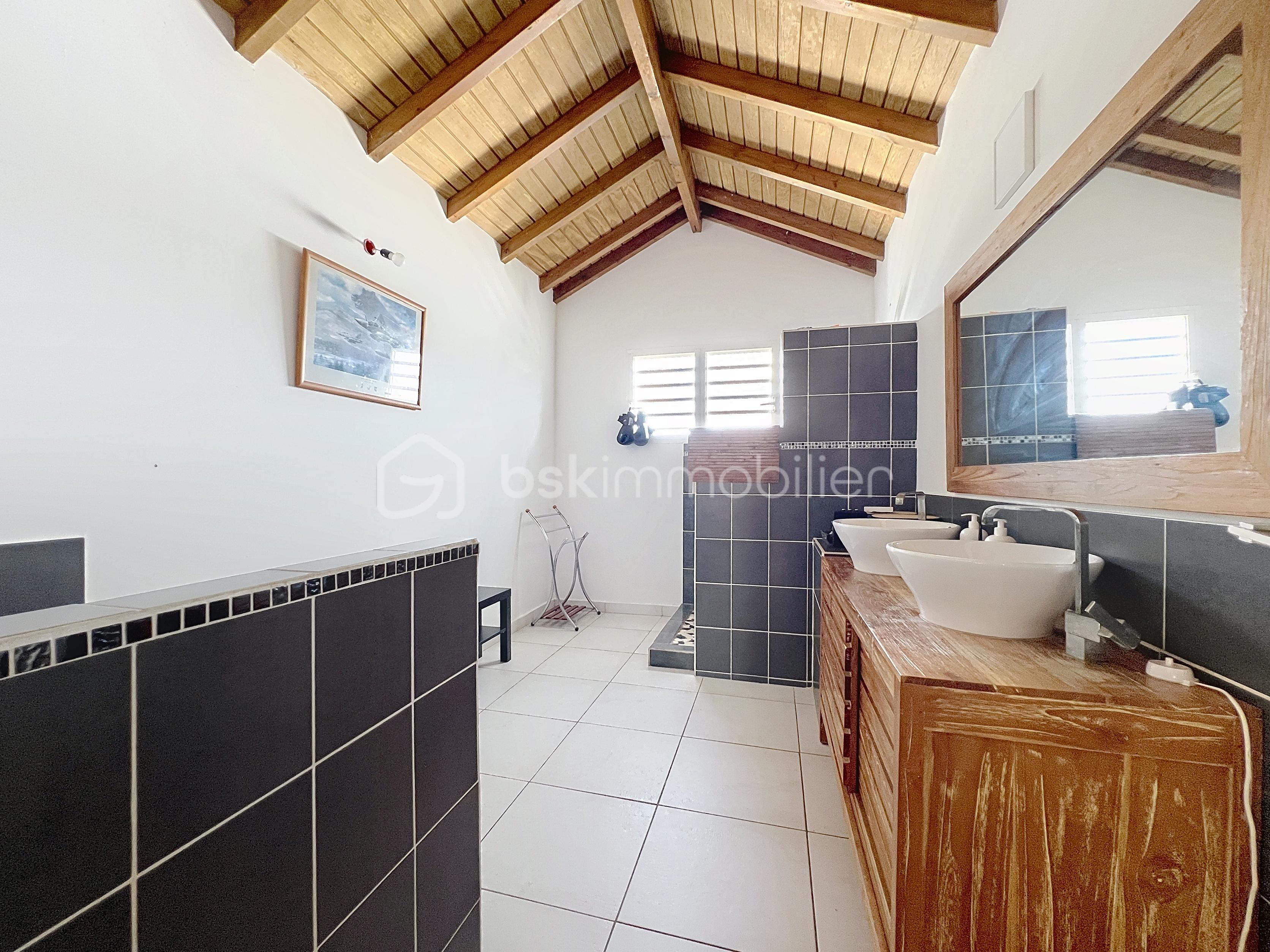 Maison de 295 m² - dabadie_00001.jpg