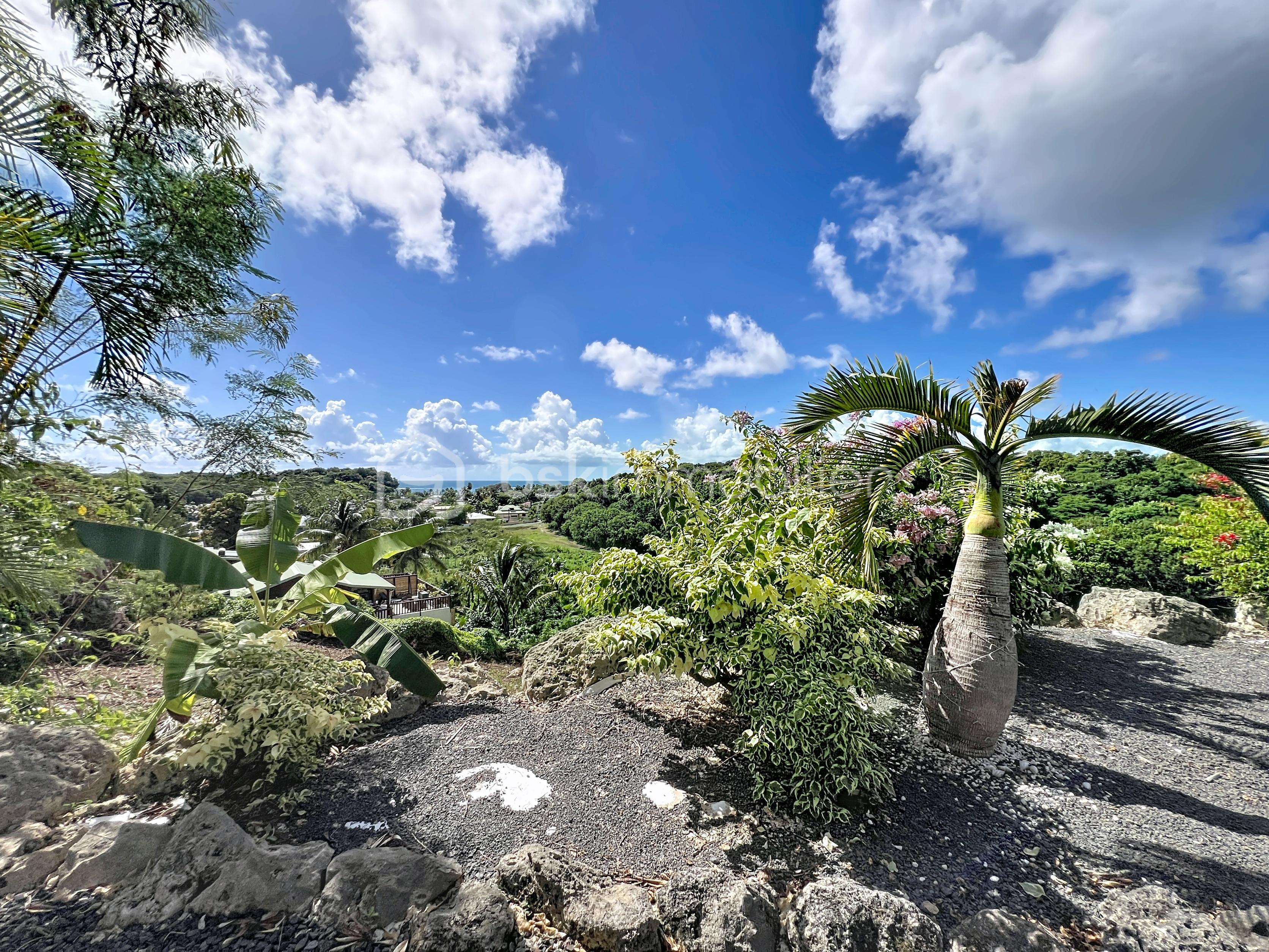 Maison de 295 m² - dabadie_00122.jpg