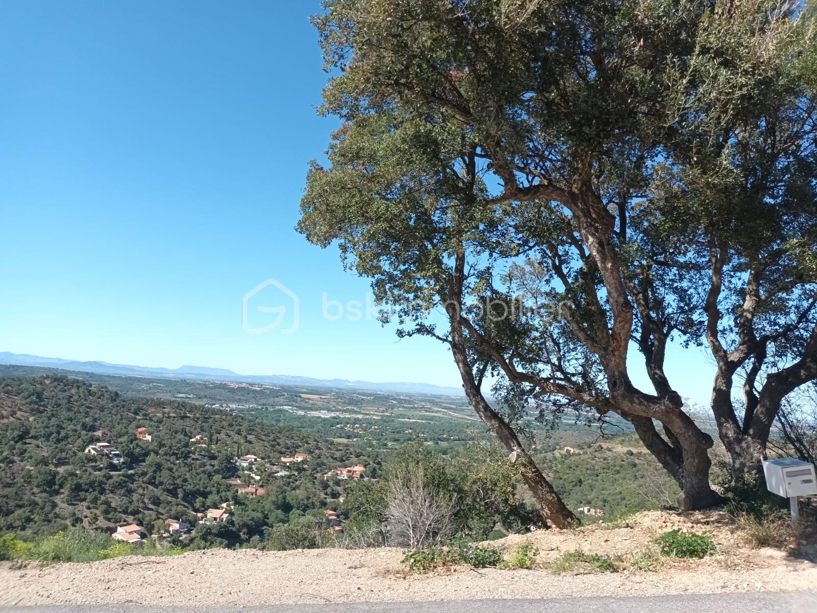 Terrain de 1 575 m² - 6438944021257559815.jpg