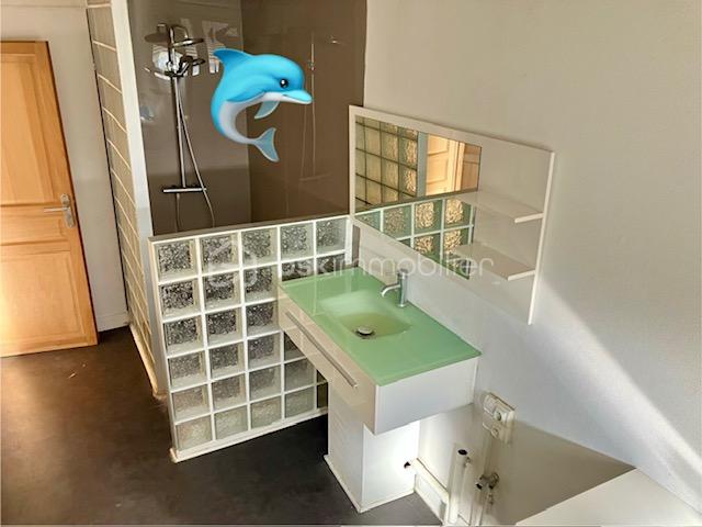 garibaldi salle d'eau dauphin.jpeg