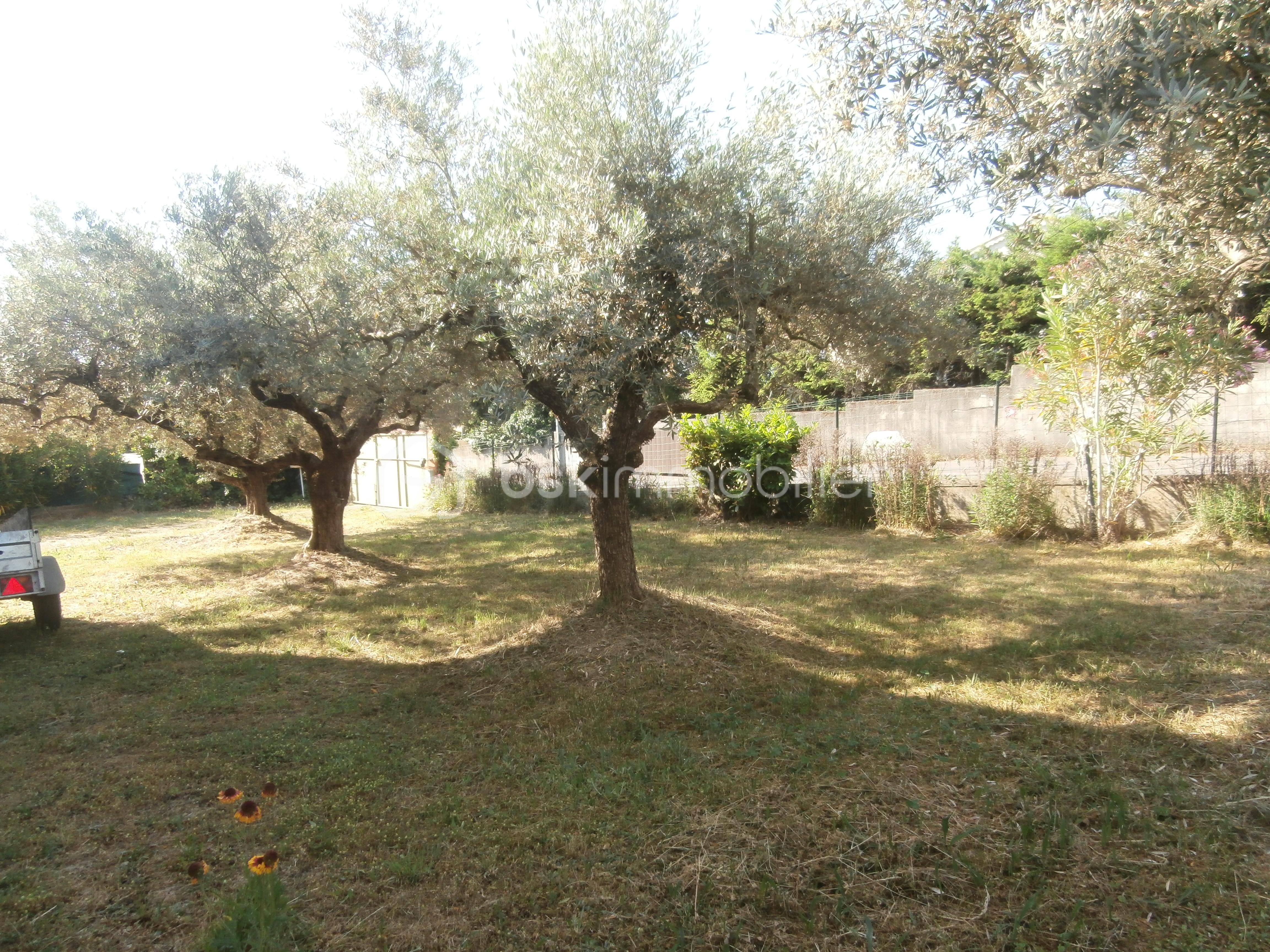 P5292763.JPG