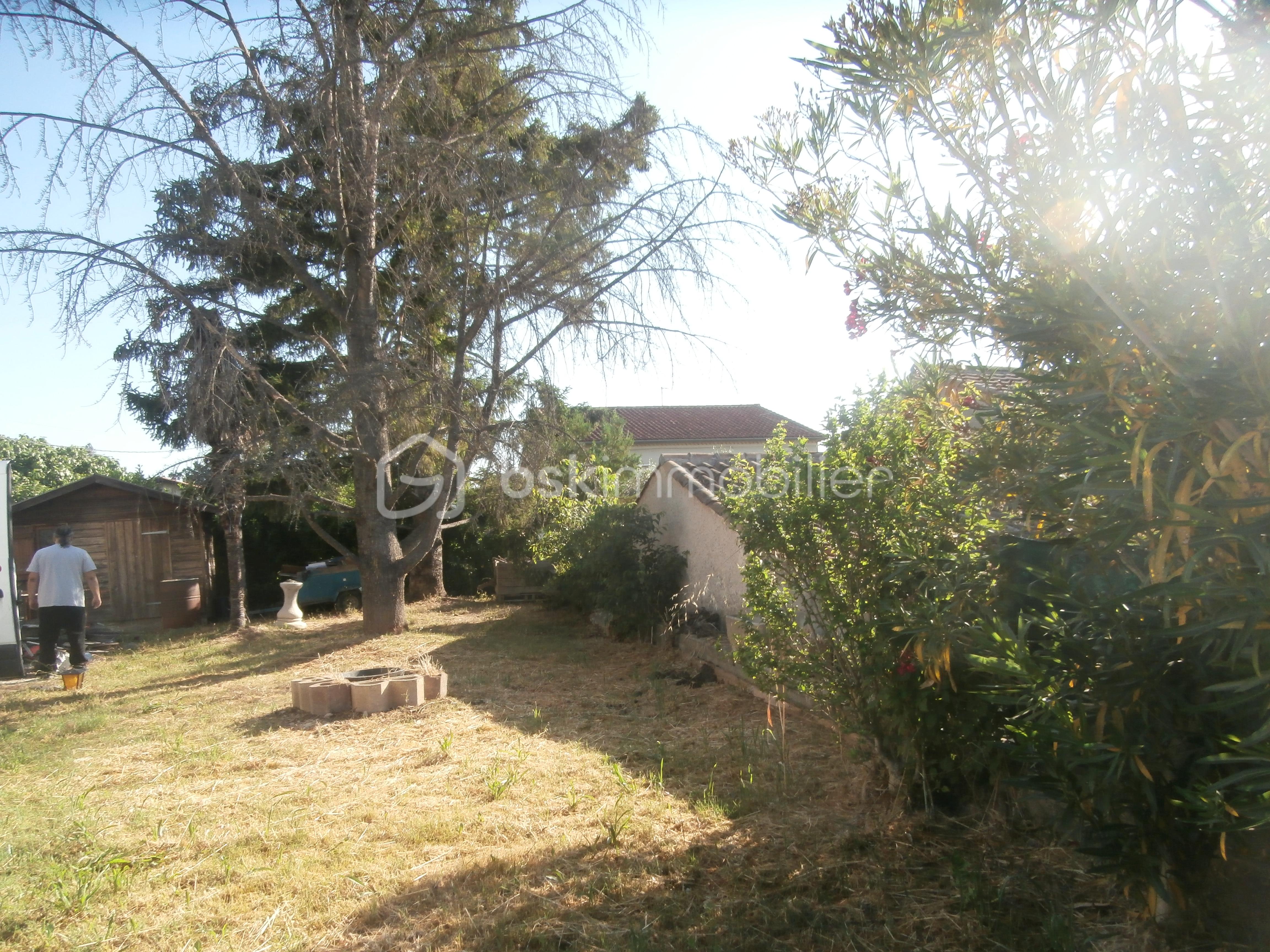 P5292746.JPG
