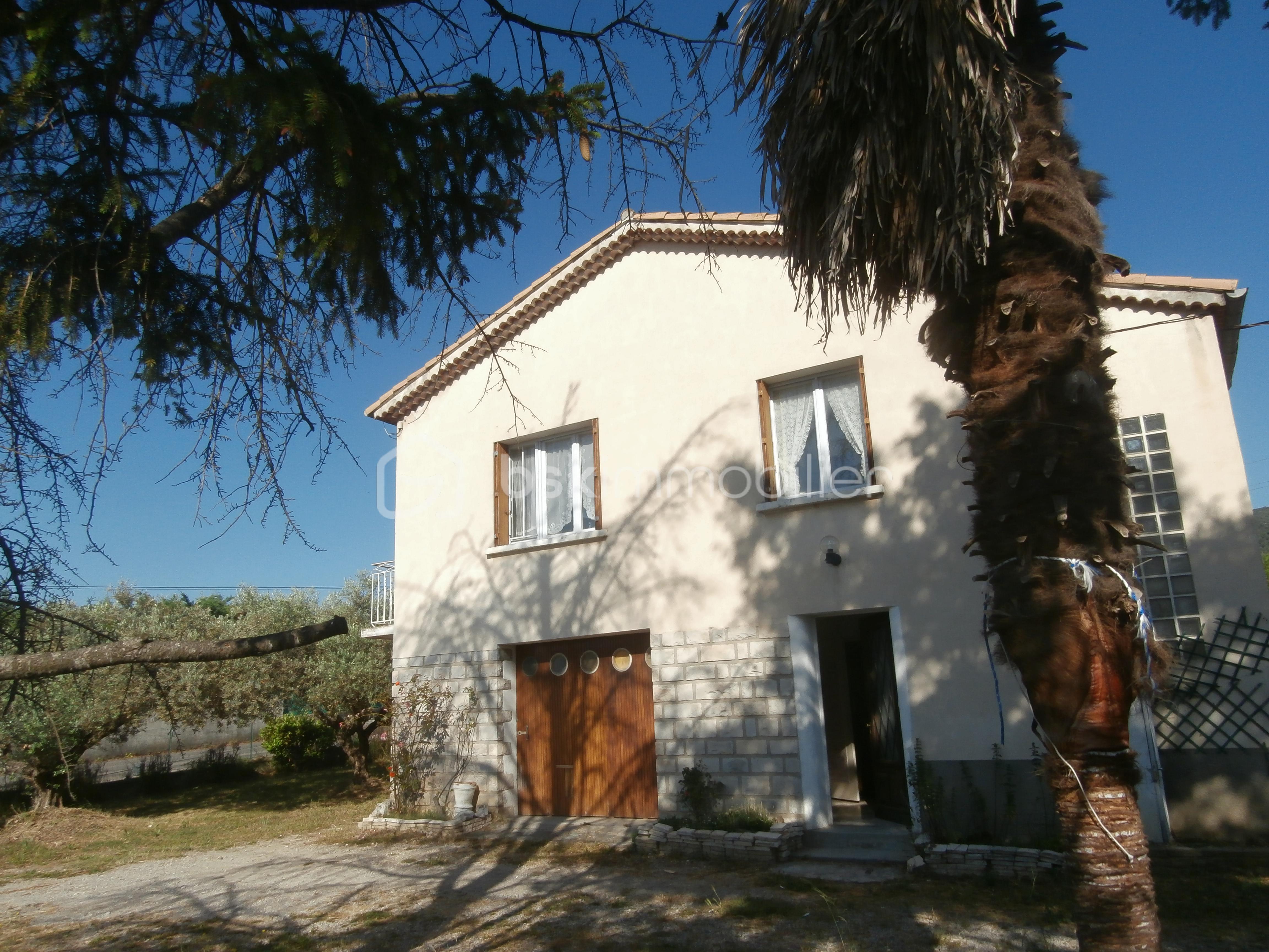 P5292770.JPG