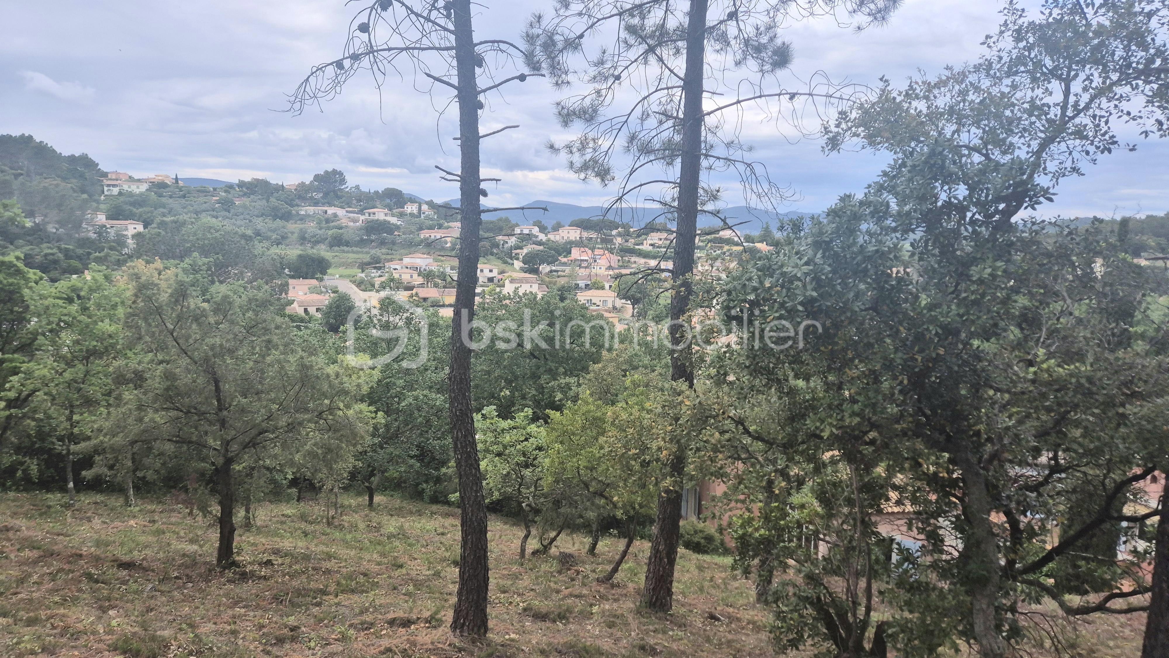 Maison de 250 m² - 20250509_173630.jpg