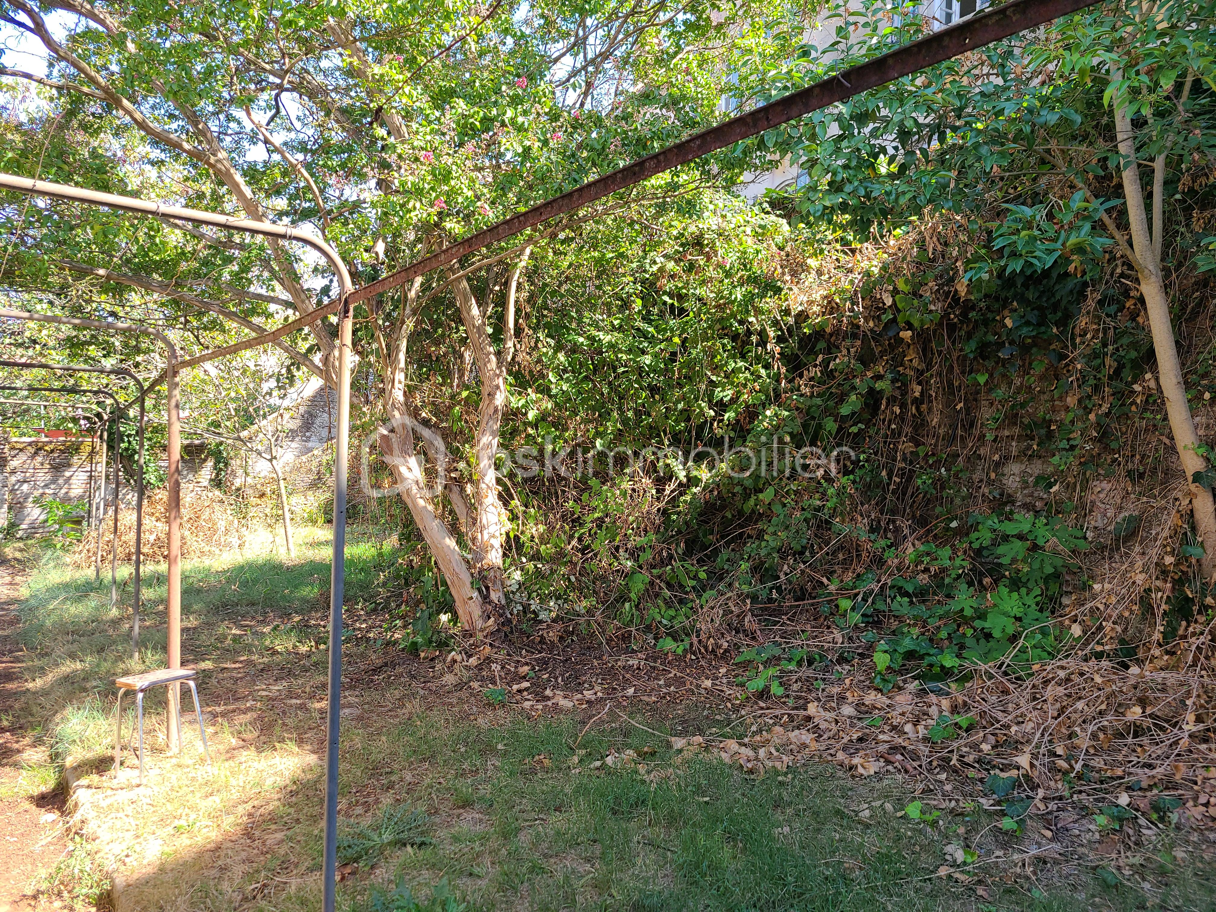 20220905_150255.jpg