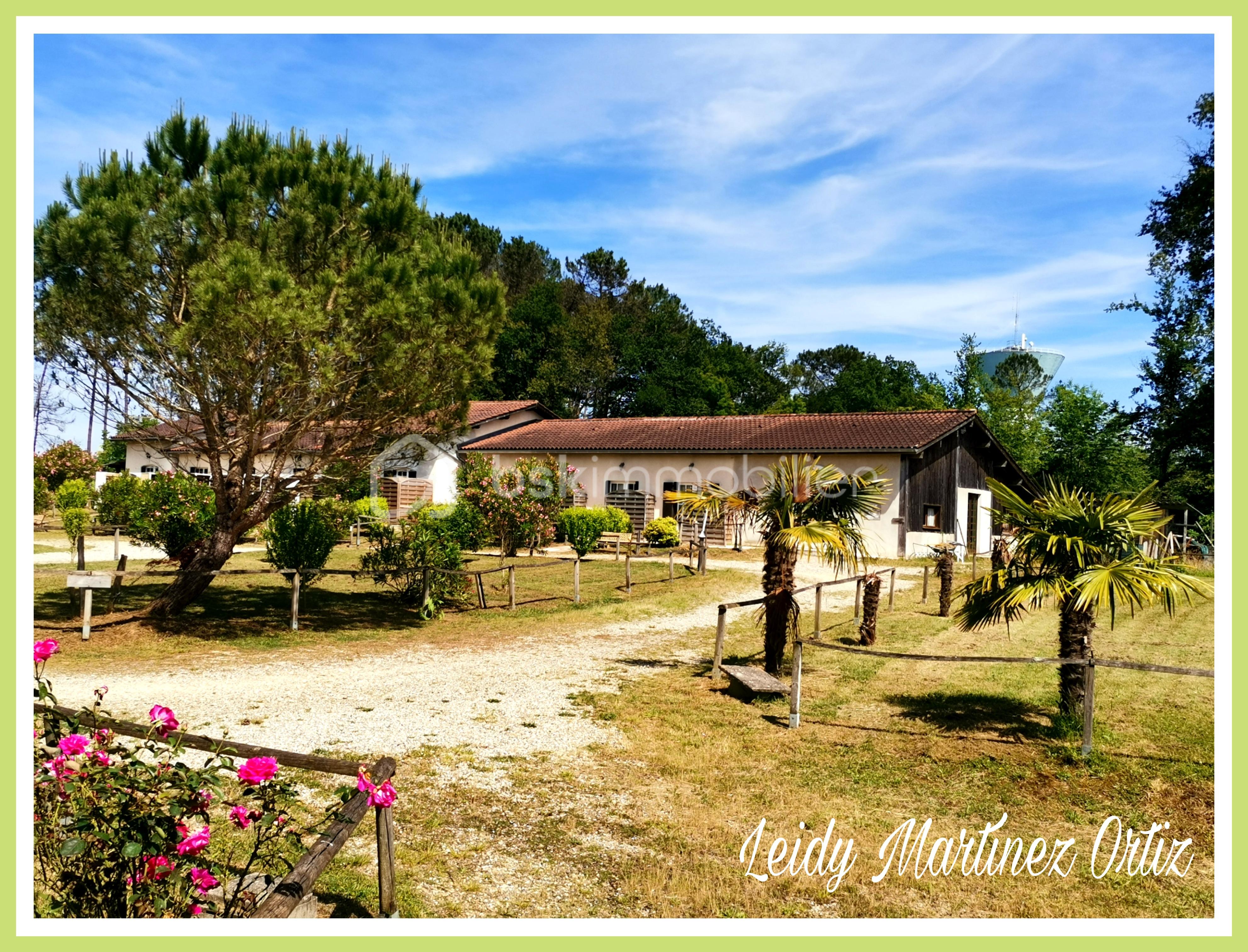 Immeuble de 440 m² - Picsart_24-07-13_18-09-56-931.jpg