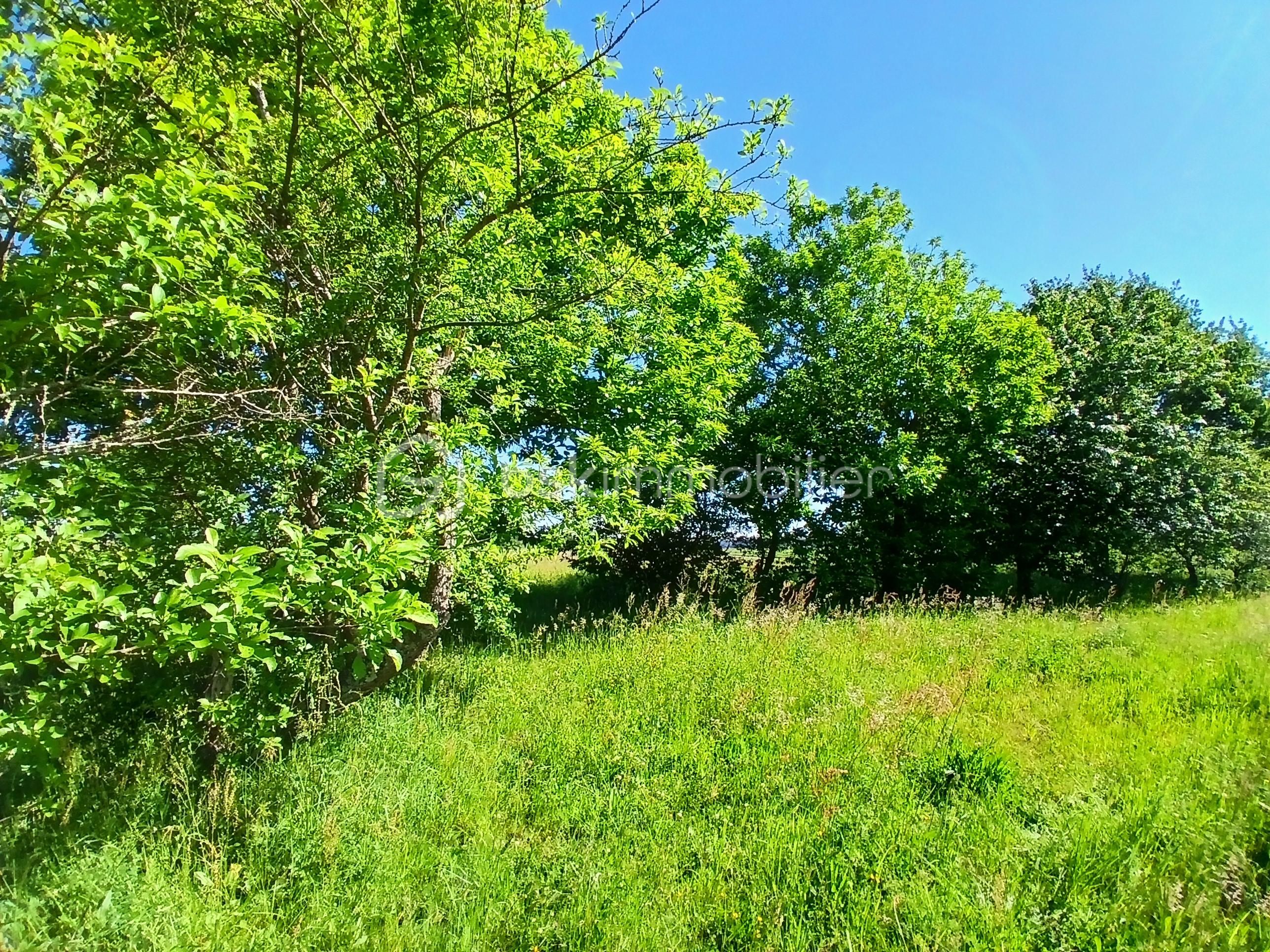 20260508_104846.jpg