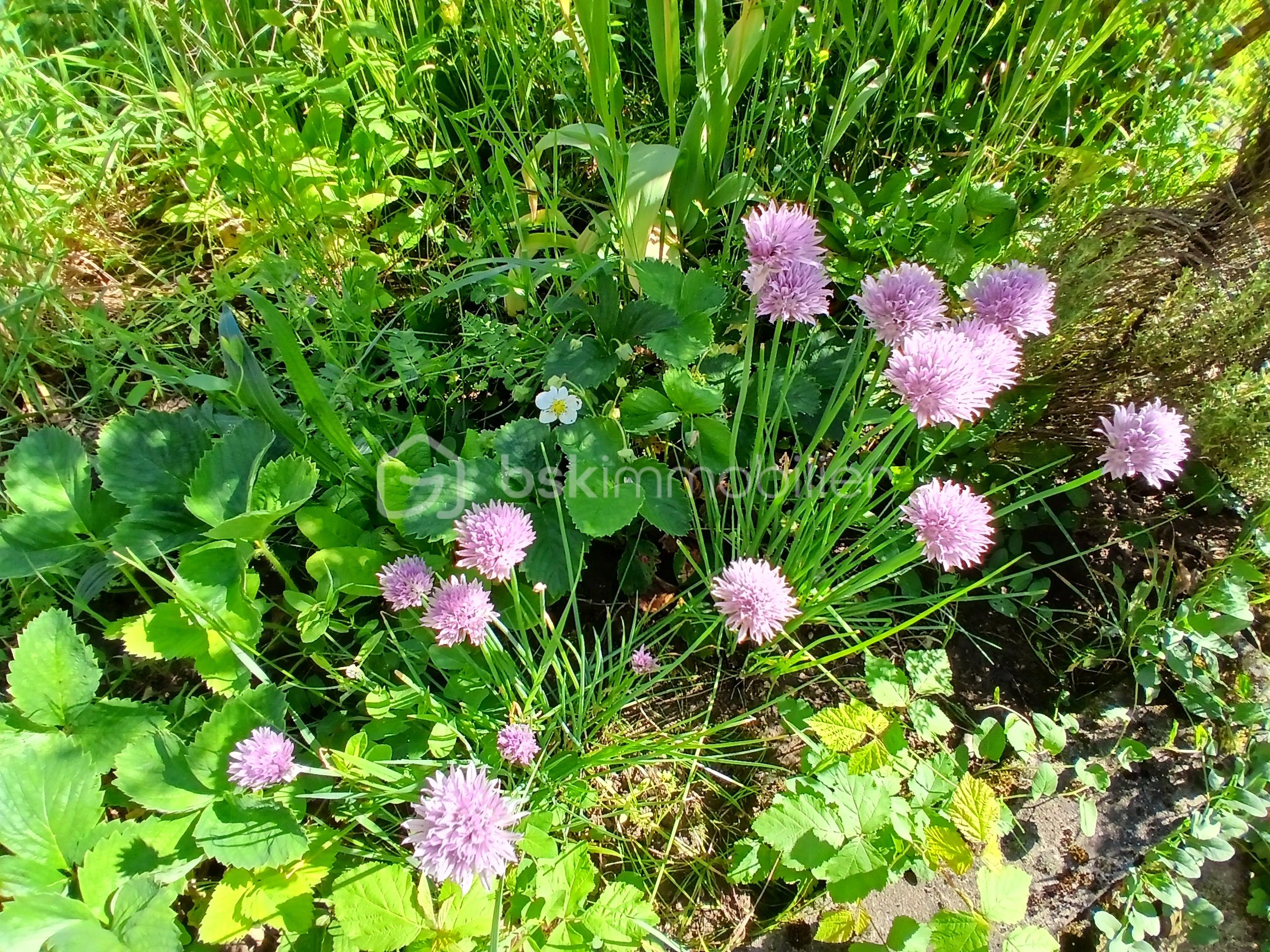 20260508_105011.jpg