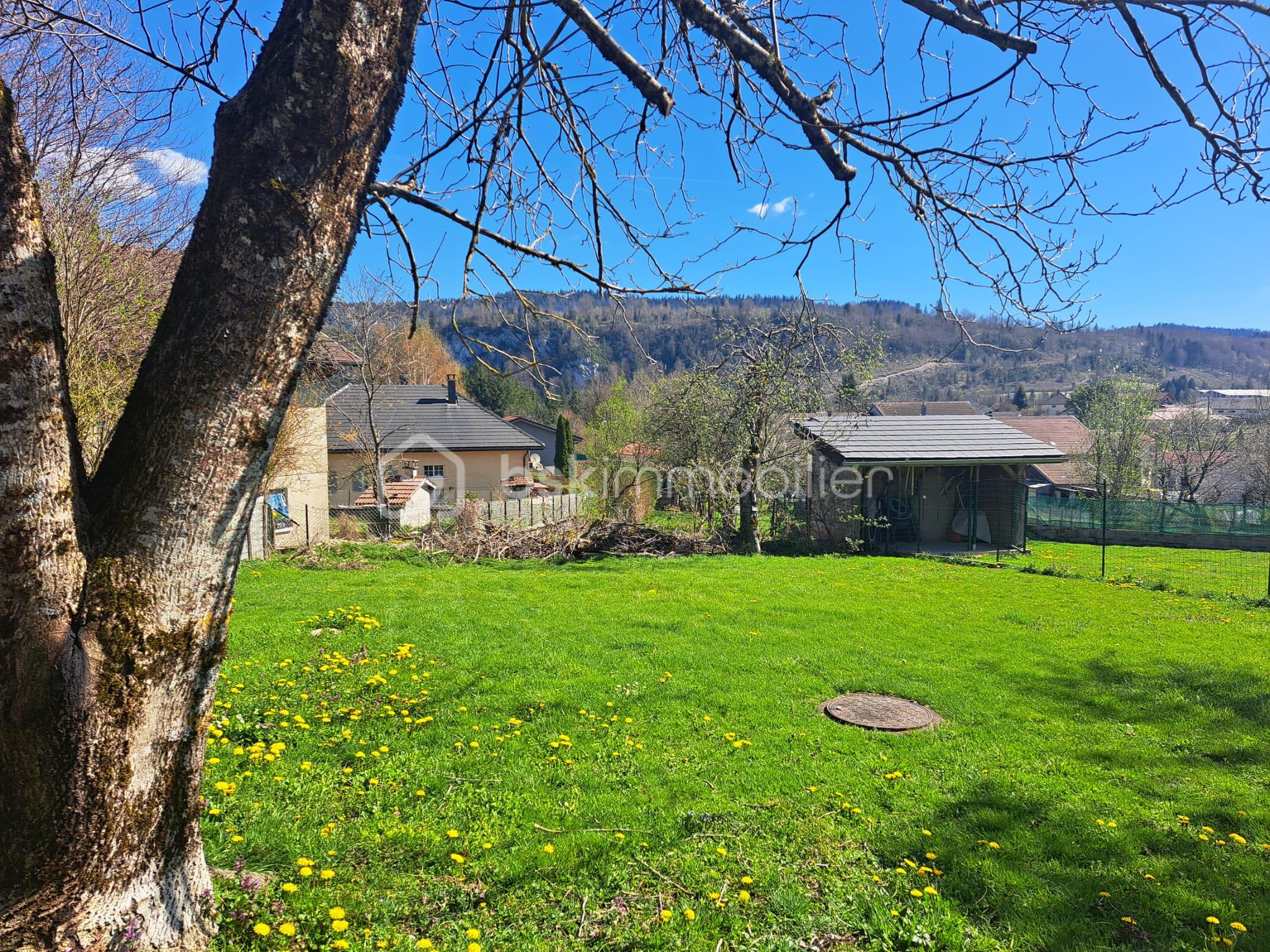 6bc93049-5801-494f-bd45-1b97e01e8f5f.jfif