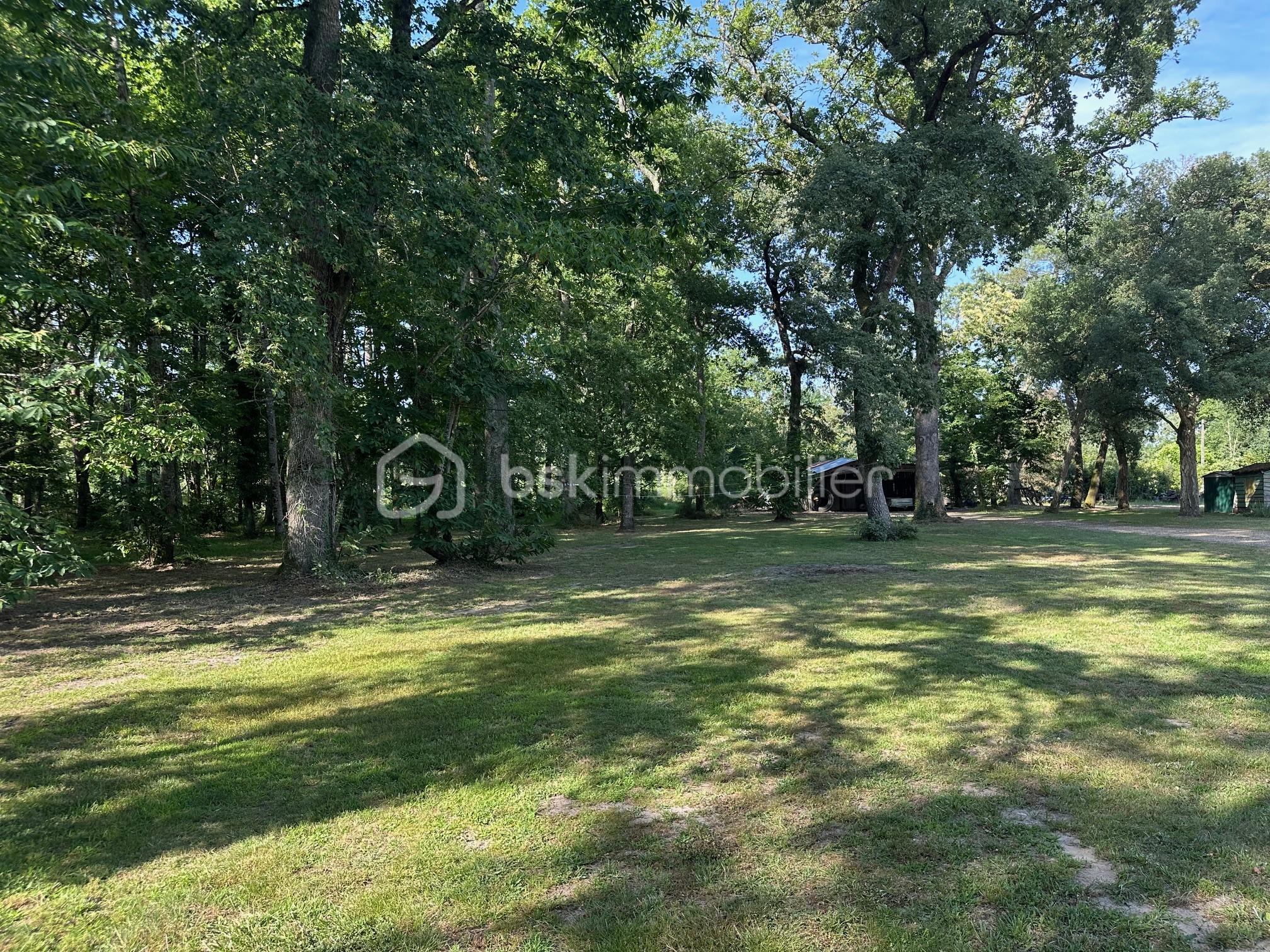 Maison contemporaine de 187 m² - IMG_4489.jpg