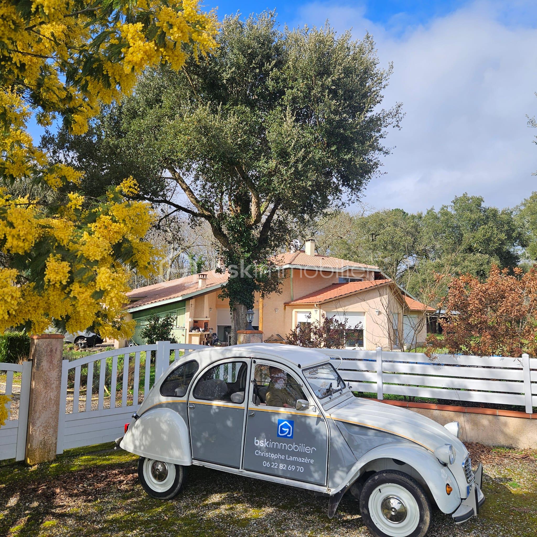 WhatsApp Image 2026-03-13 at 09.40.03.jpeg