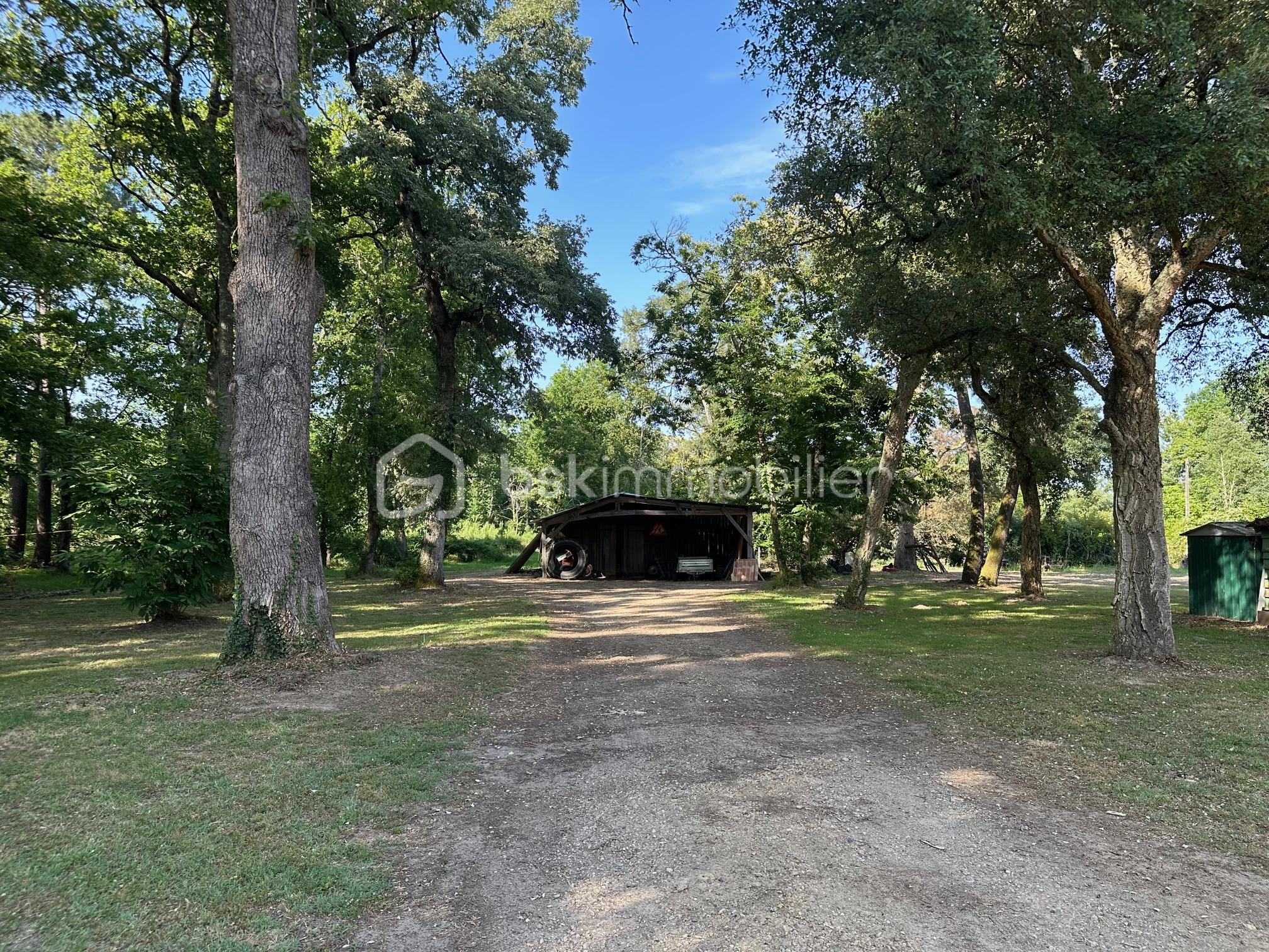 Maison contemporaine de 187 m² - IMG_4492.jpg