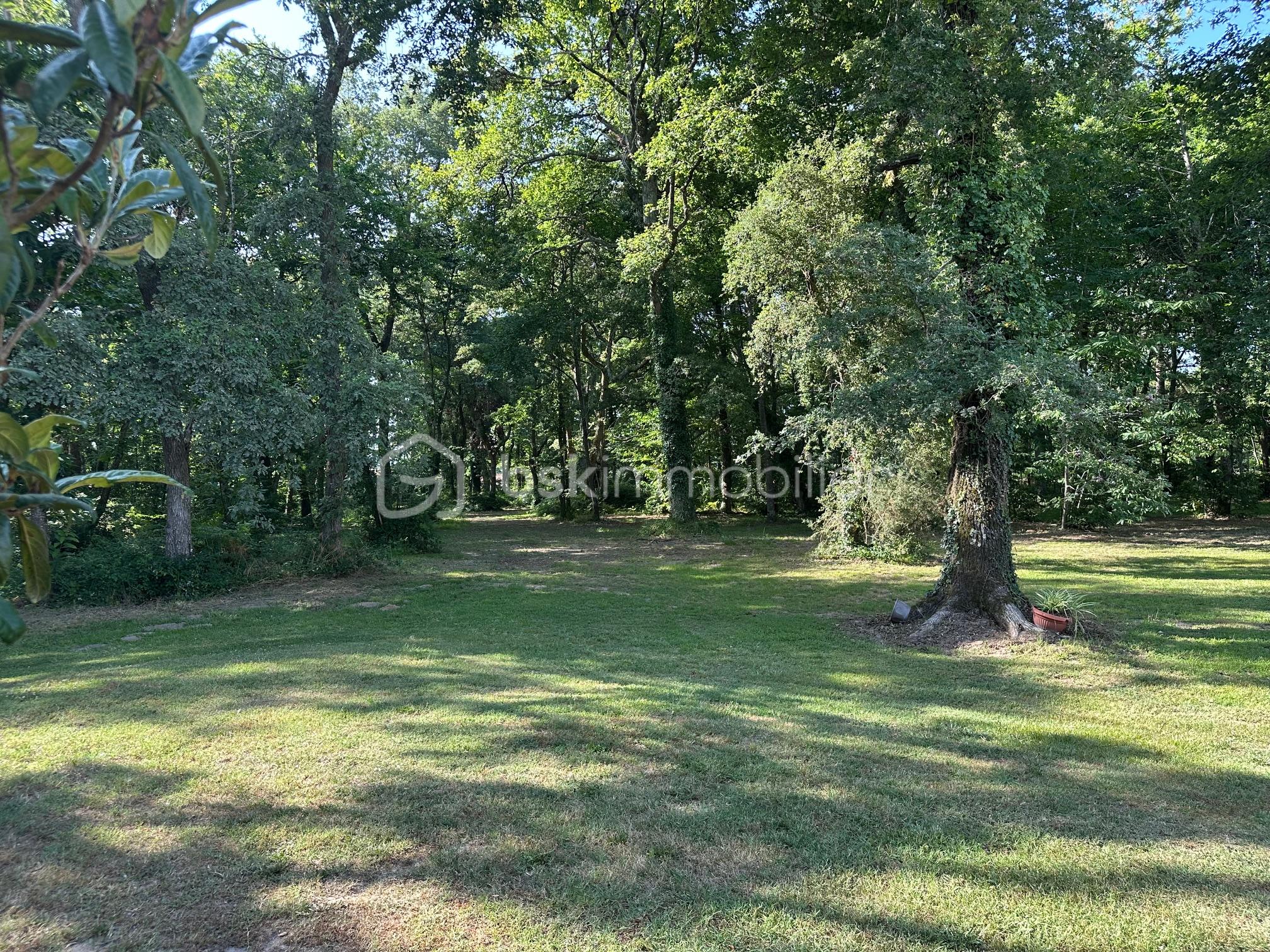 Maison contemporaine de 187 m² - IMG_4481.jpg