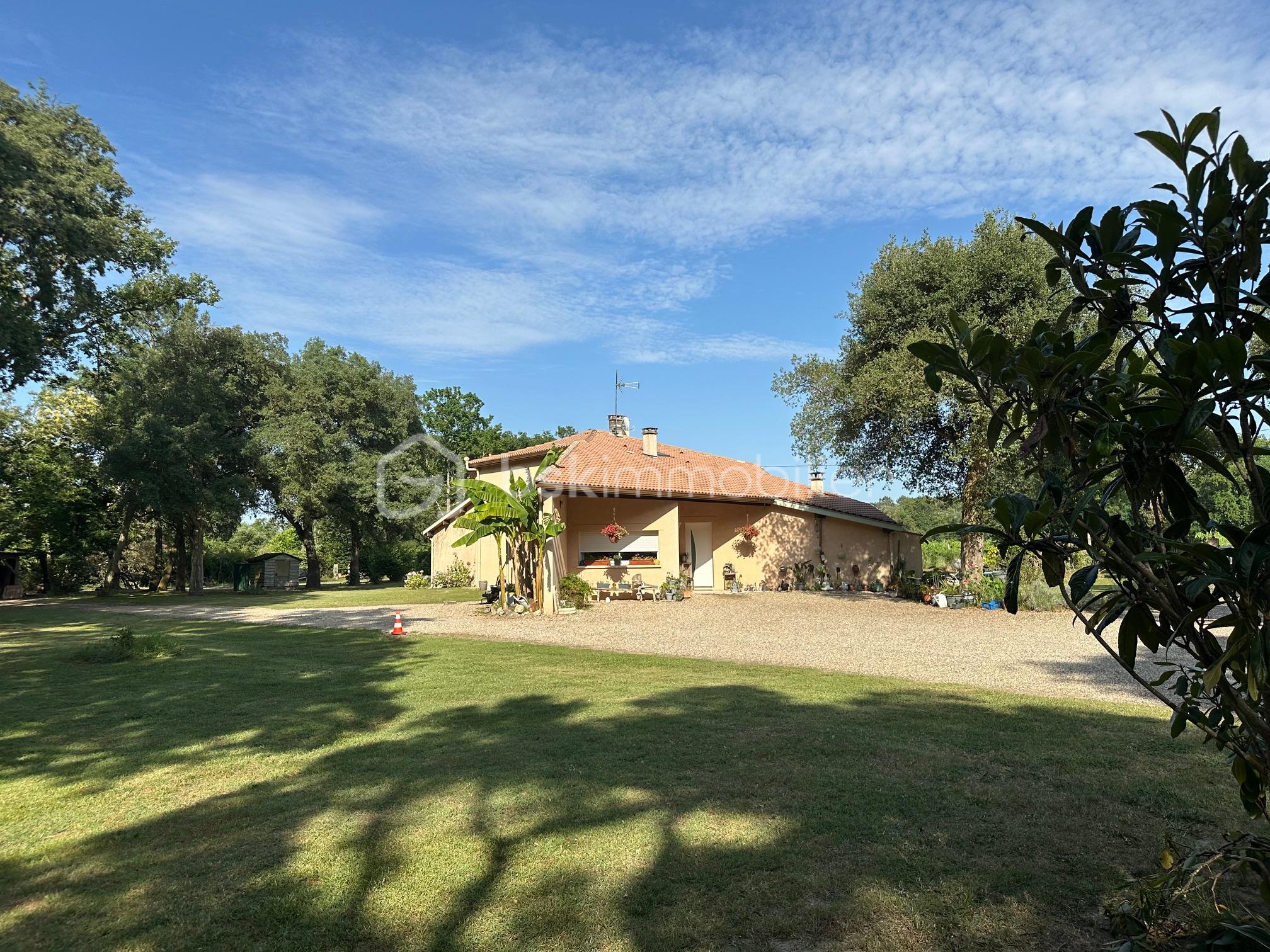 Maison contemporaine de 187 m² - IMG_4483.jpg