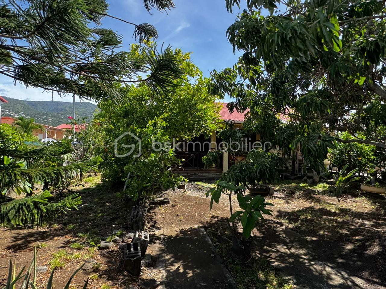 WhatsApp Image 2026-02-05 at 08.47.26 (2).jpeg