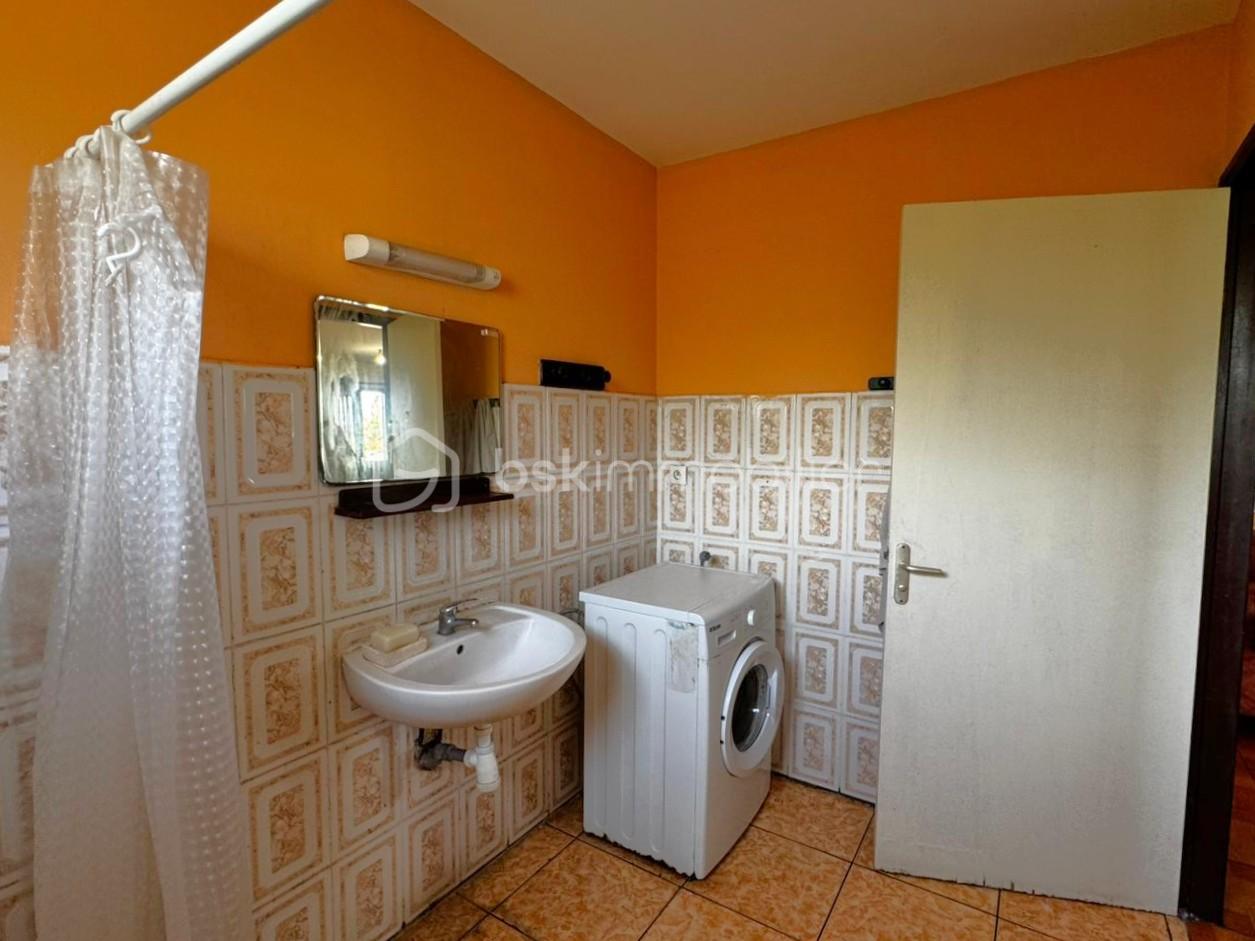 WhatsApp Image 2026-02-05 at 08.47.30.jpeg