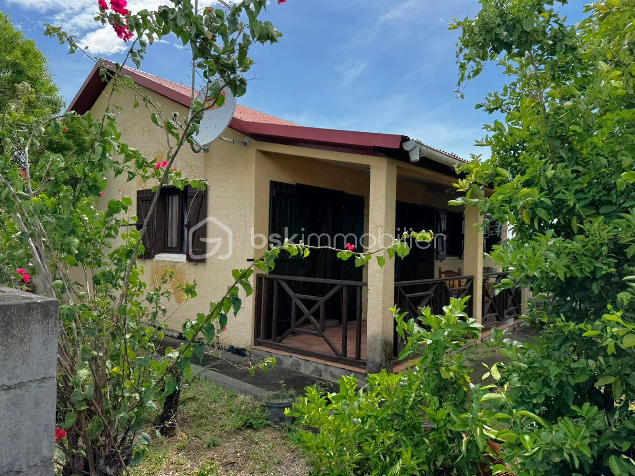 WhatsApp Image 2026-02-05 at 08.47.21.jpeg