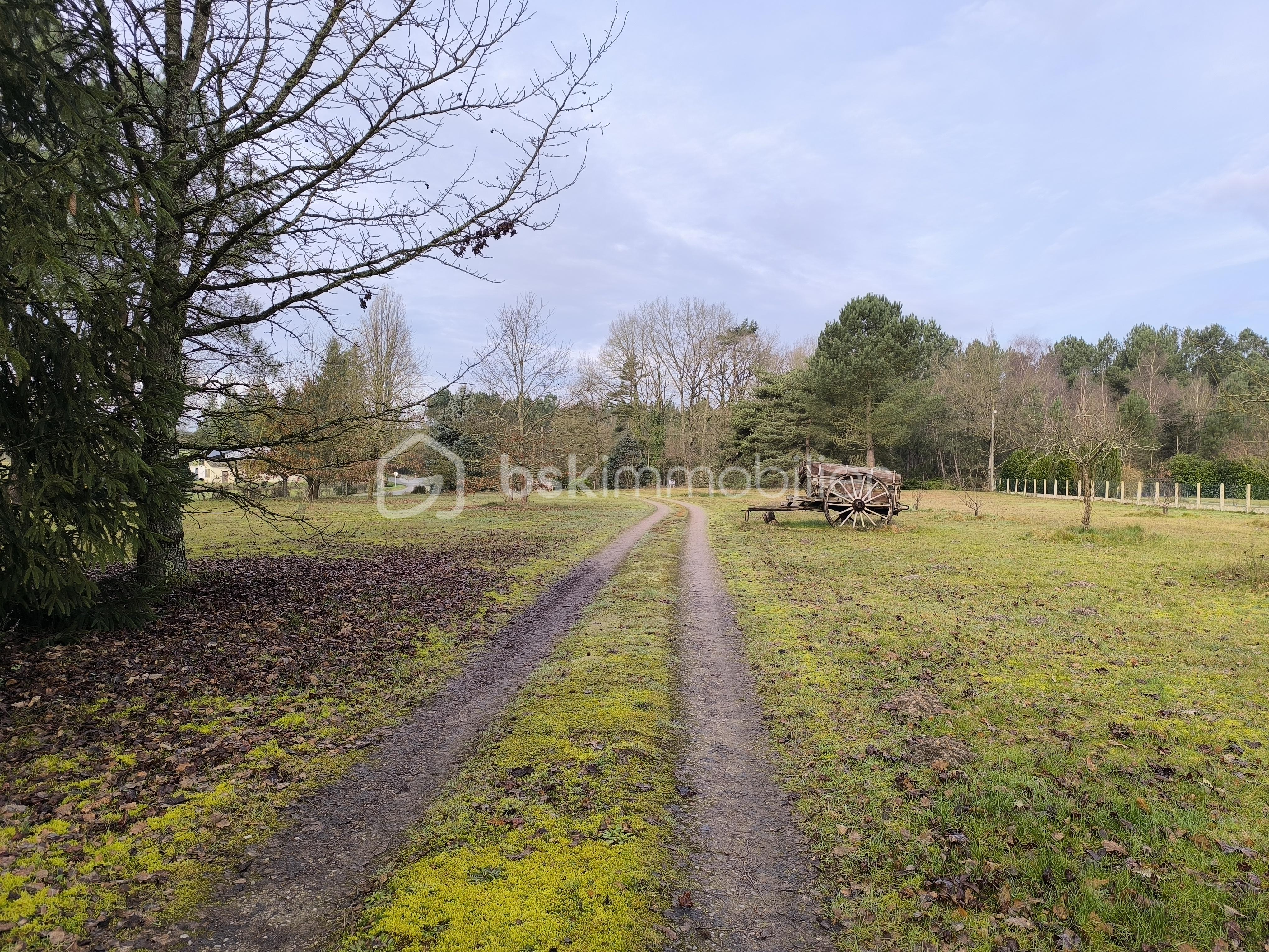 Maison de 154 m² - IMG_20260209_102807.jpg